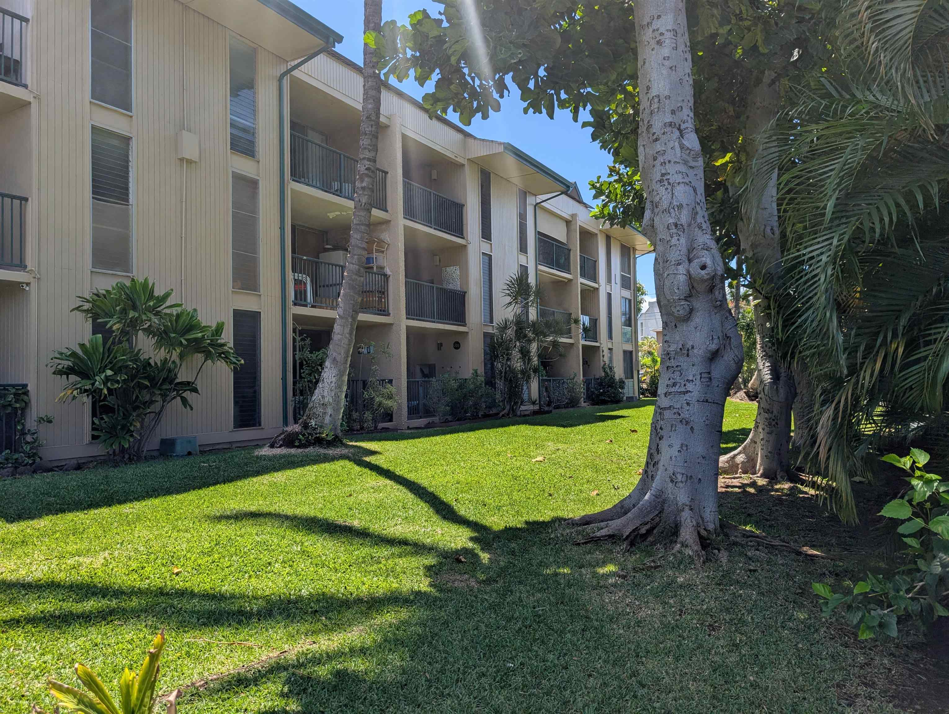 35 Walaka St Property Photo 40