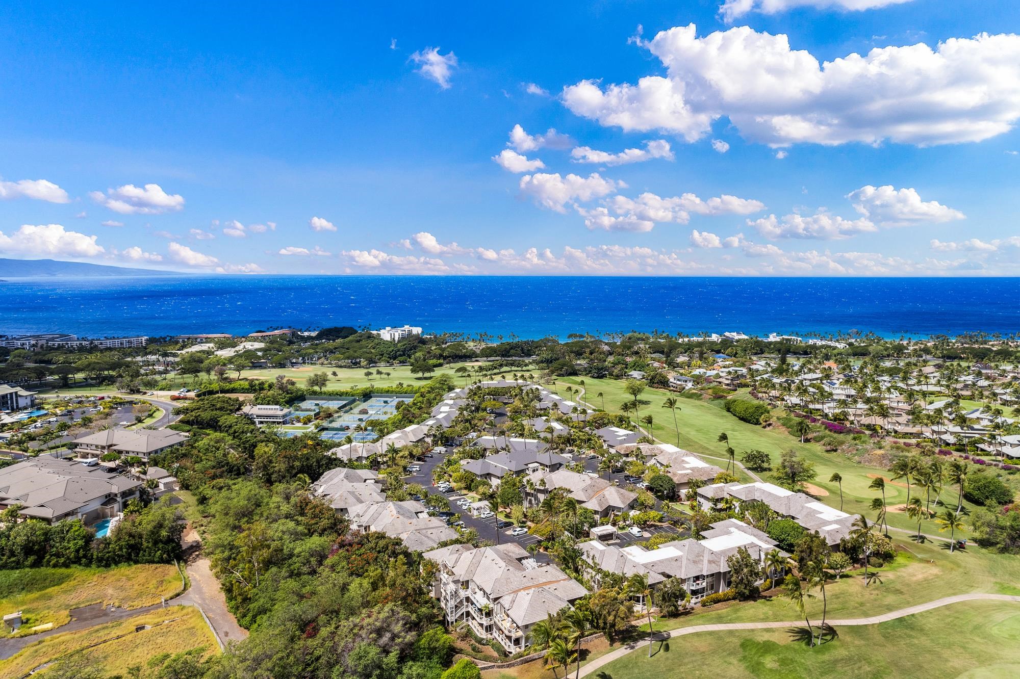 155 Wailea Ike Pl Property Photo 3