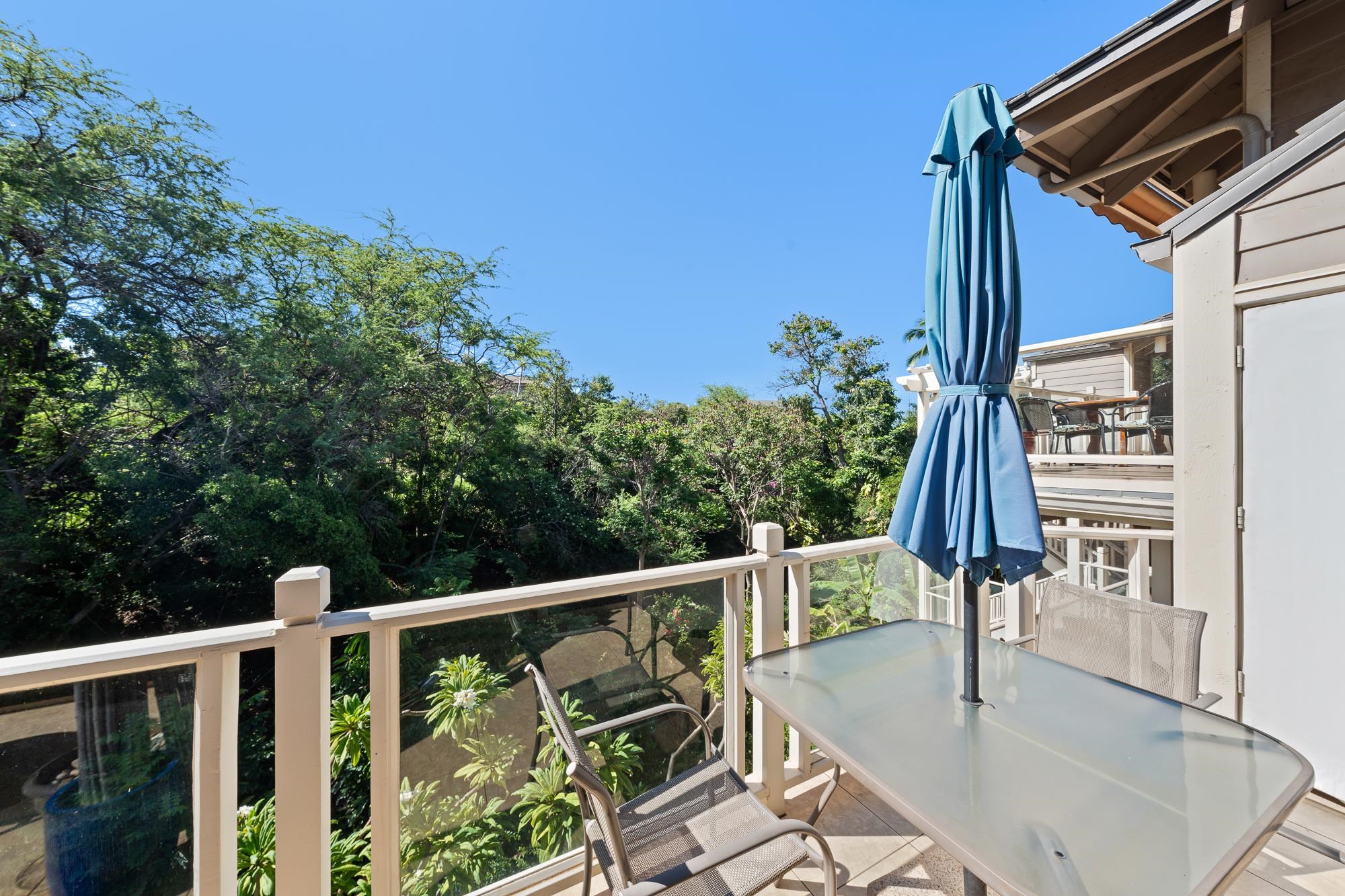 155 Wailea Ike Pl Property Photo 18
