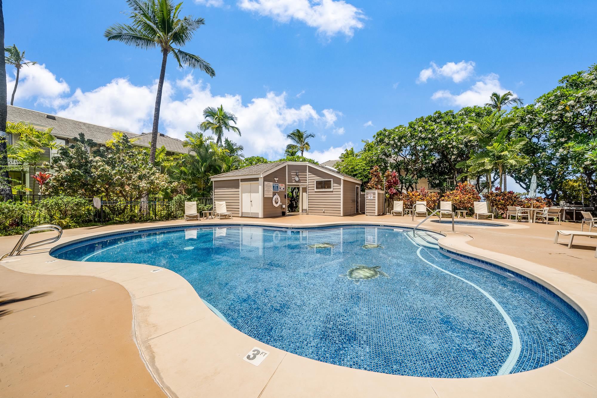 155 Wailea Ike Pl Property Photo 29