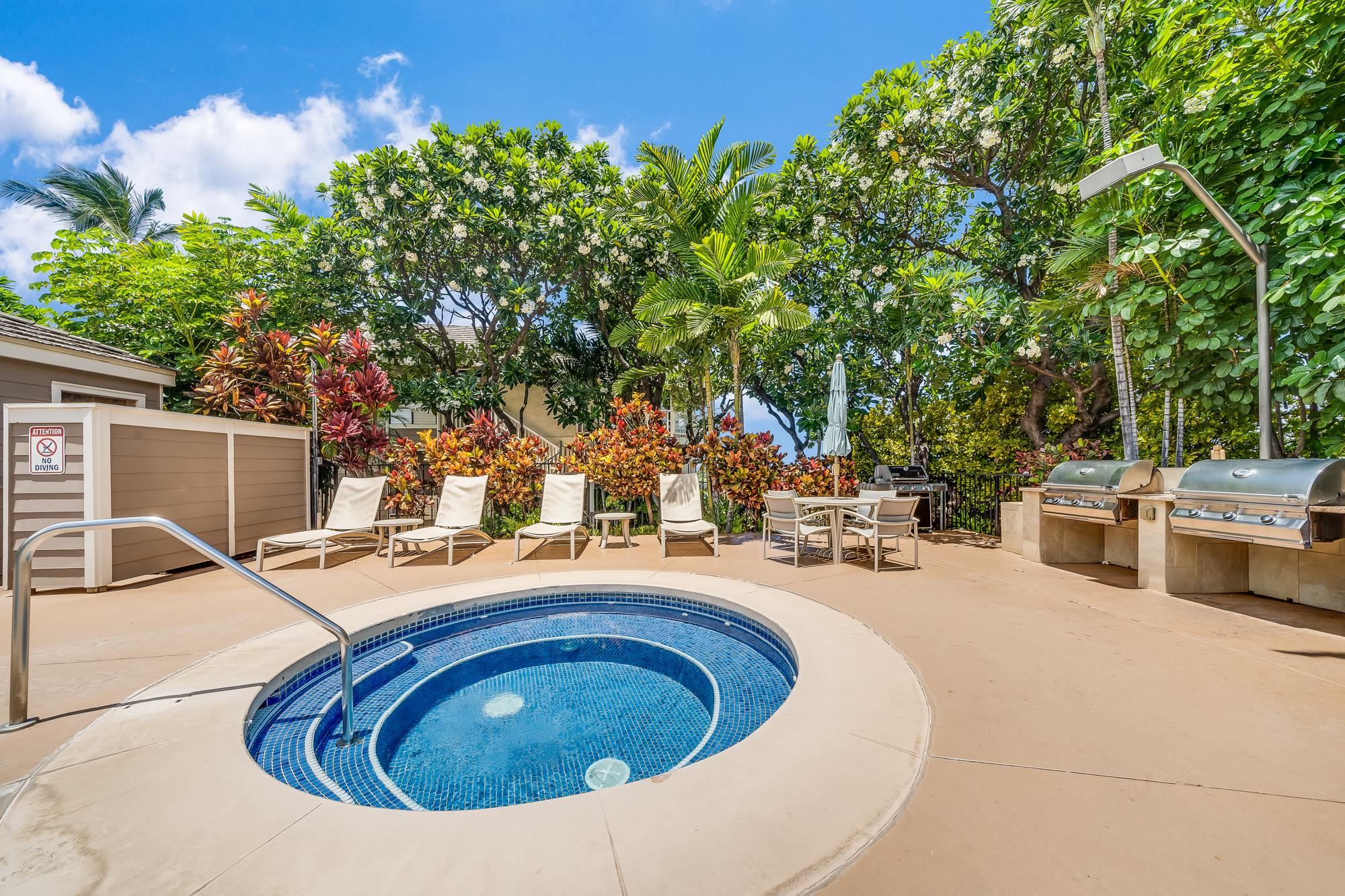 155 Wailea Ike Pl Property Photo 32