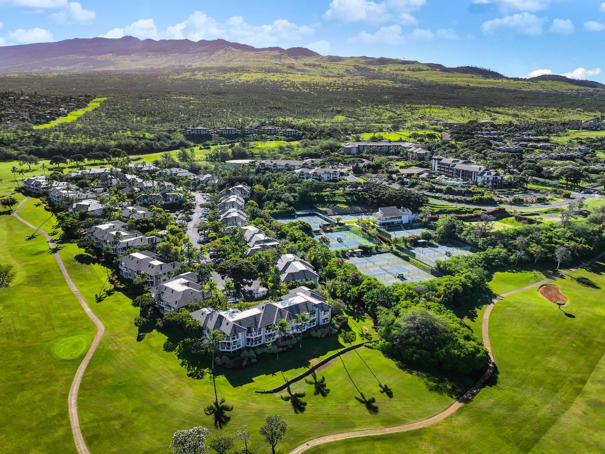 155 Wailea Ike Pl Property Photo 41