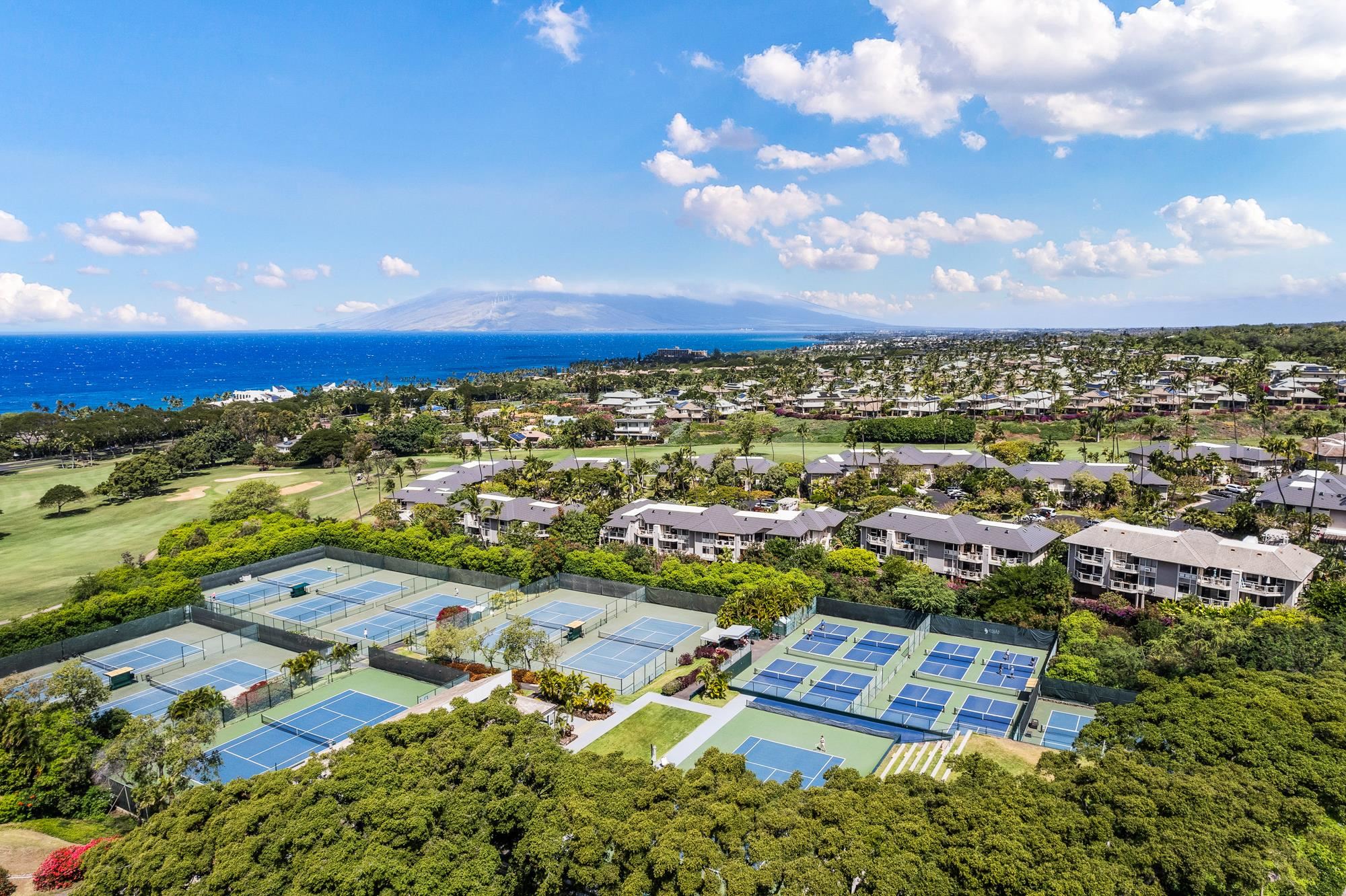 155 Wailea Ike Pl Property Photo 46
