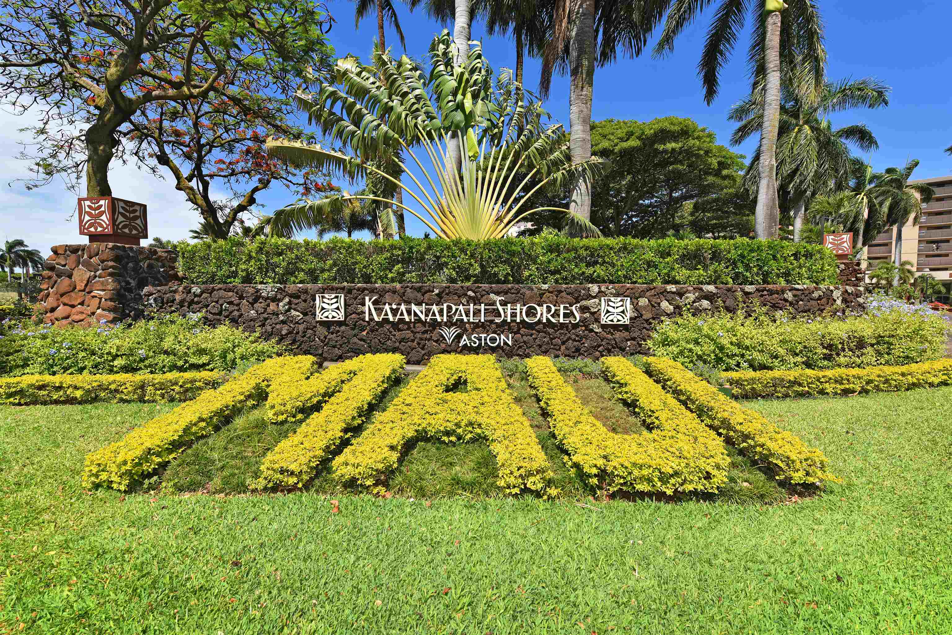 3445 Lower Honoapiilani Rd Property Photo 43