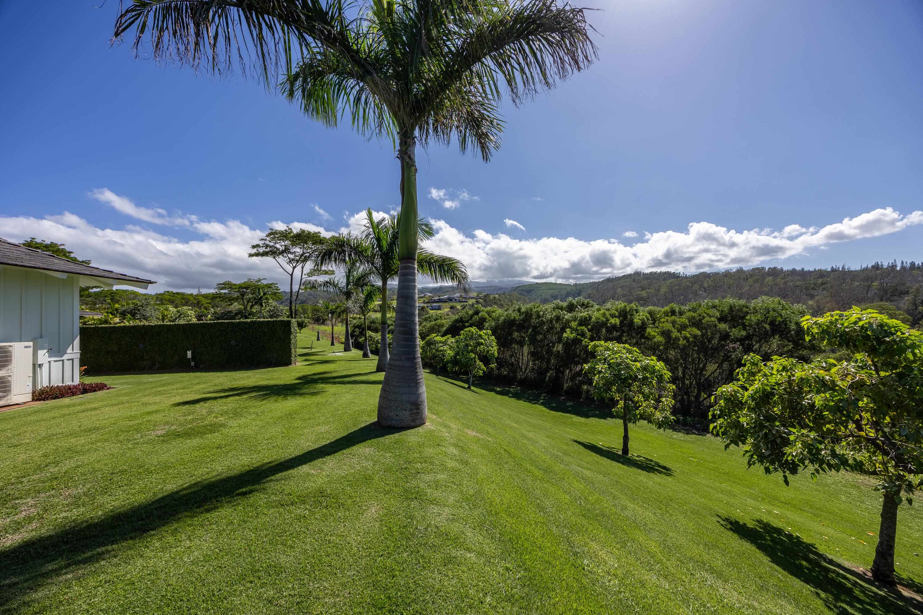 310 Mahana Ridge St Property Photo 44
