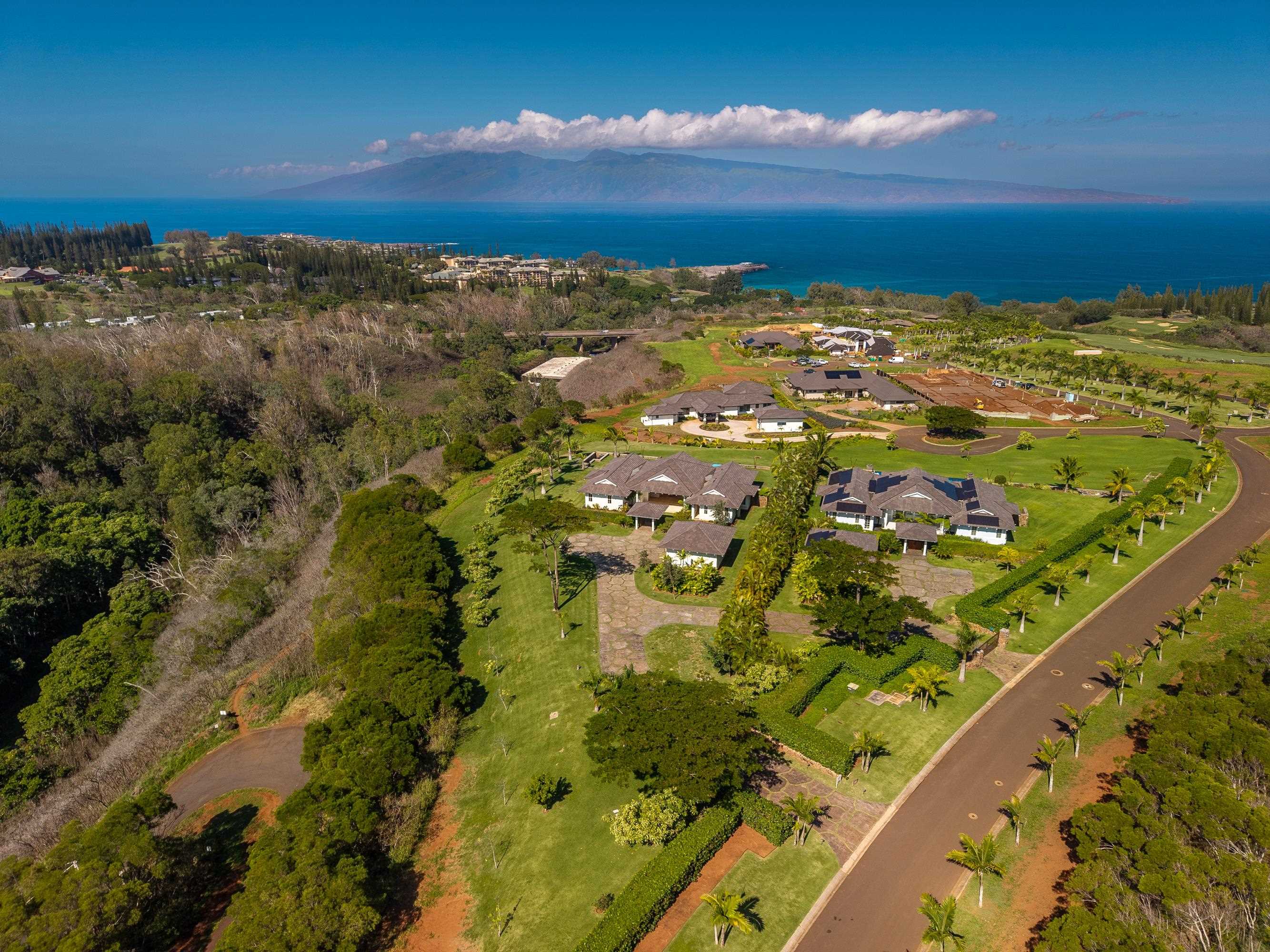 310 Mahana Ridge St Property Photo 48