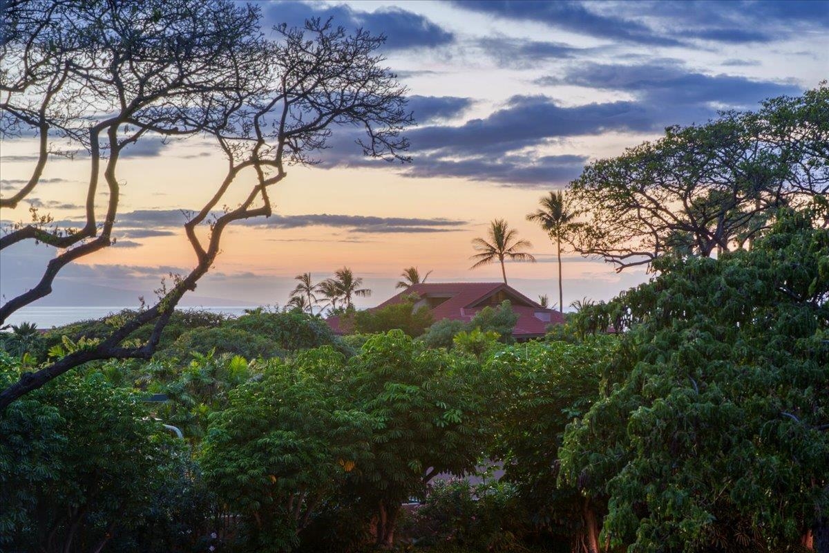 209 Holokahiki Ln Property Photo 11