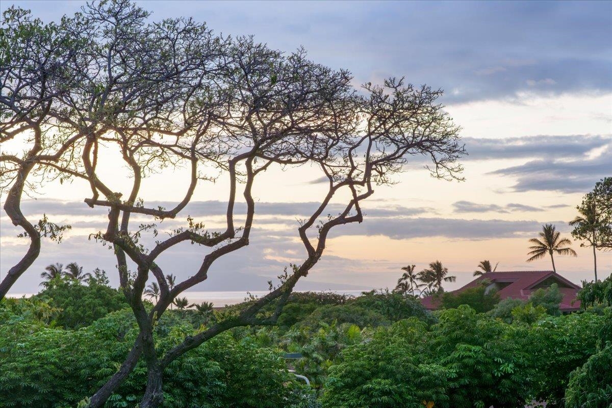 209 Holokahiki Ln Property Photo 12
