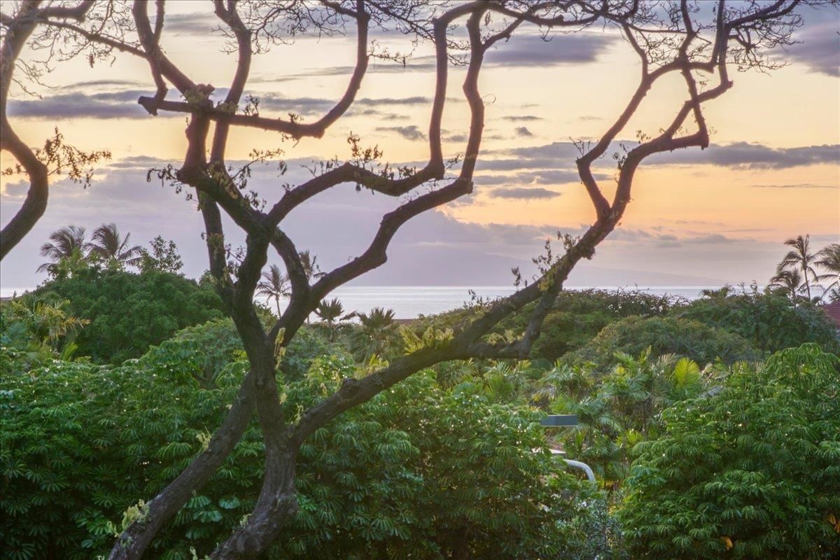 209 Holokahiki Ln Property Photo 22