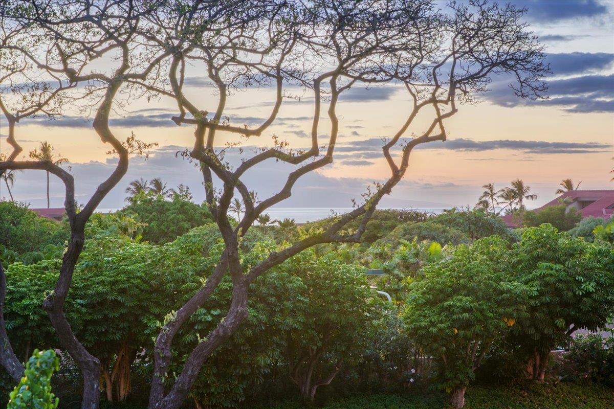 209 Holokahiki Ln Property Photo 40