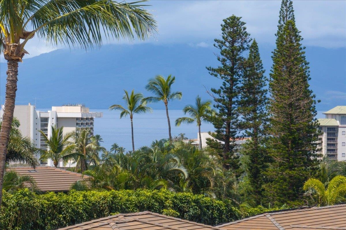 207 Anapuni Loop Property Photo 15