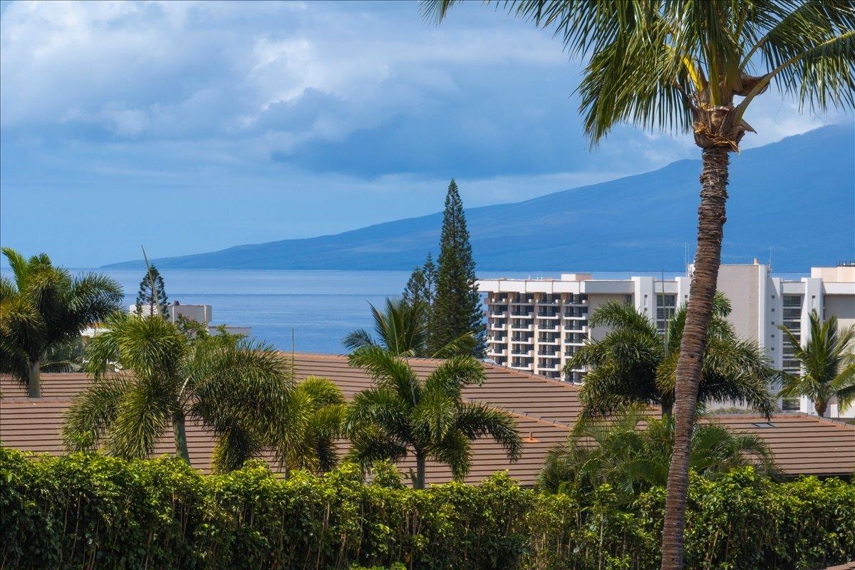 207 Anapuni Loop Property Photo 16