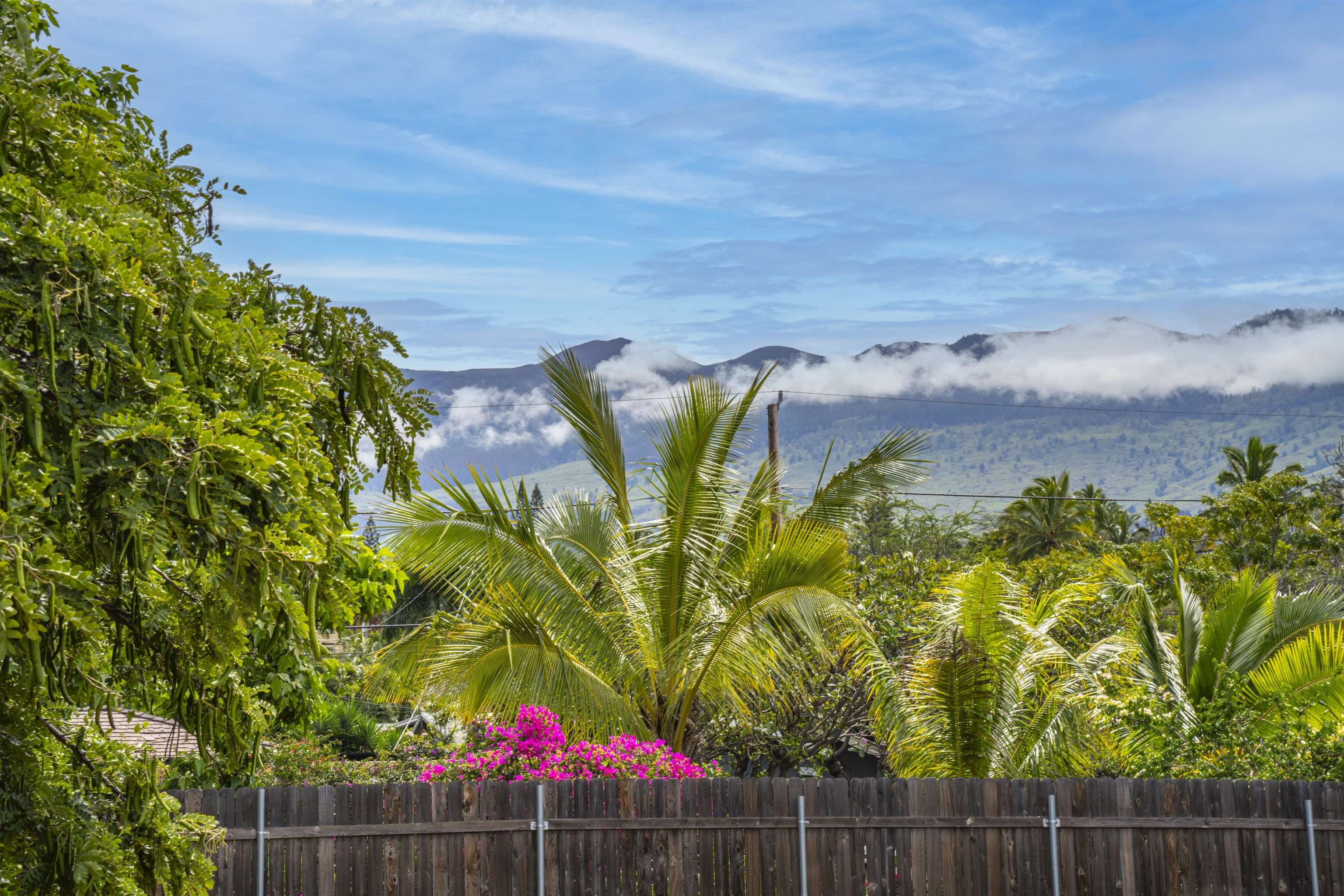 3325 Mapu Pl Property Photo 26