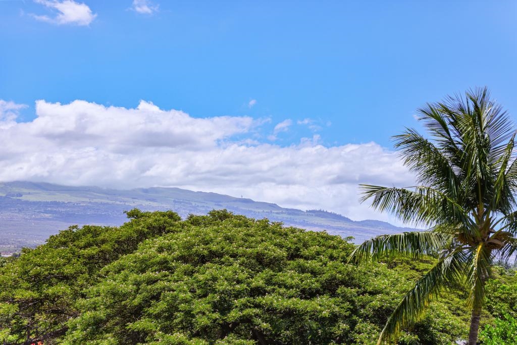 938 S Kihei Rd Property Photo 18