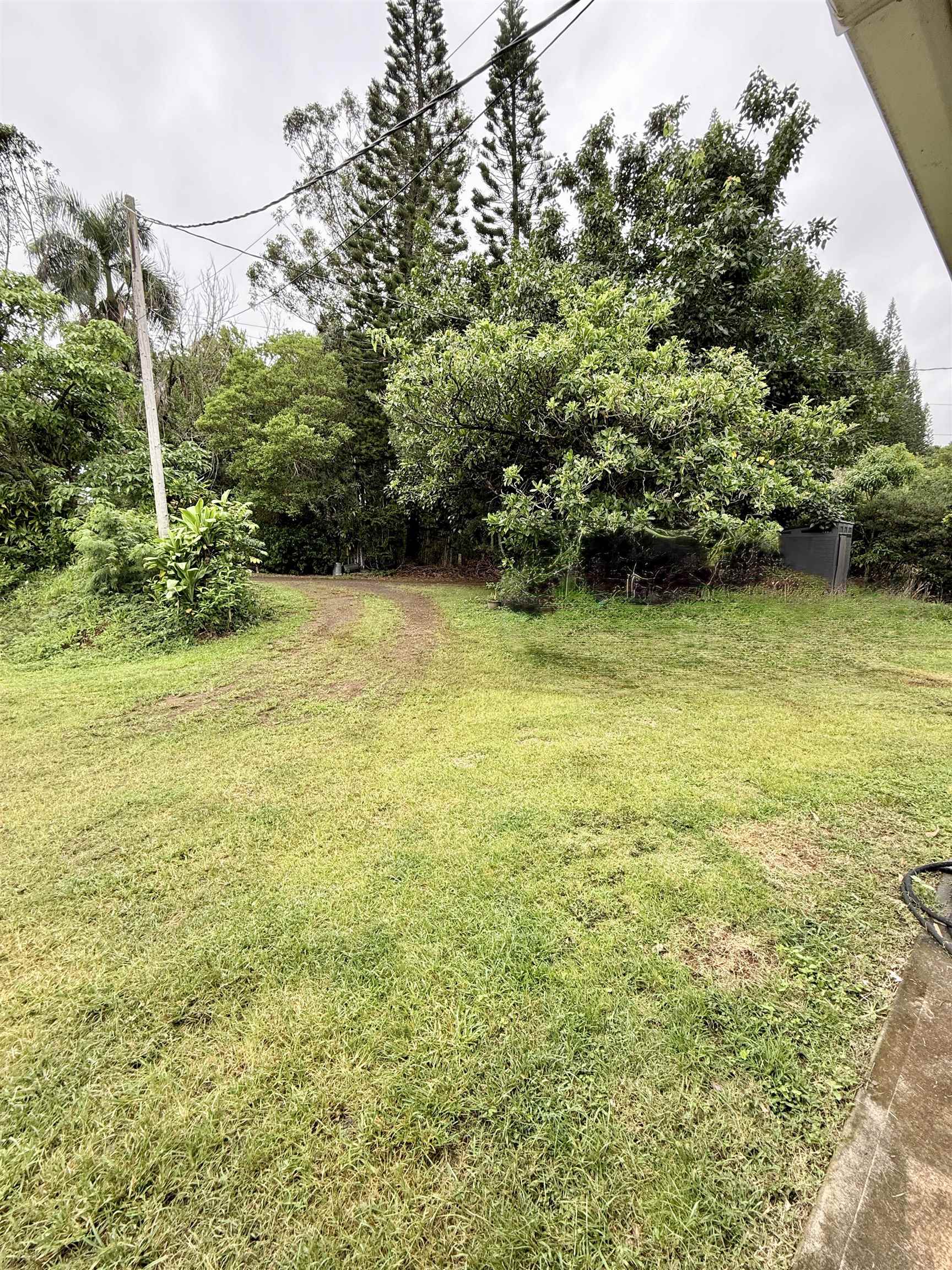 580-a Lihau Pl Property Photo 12