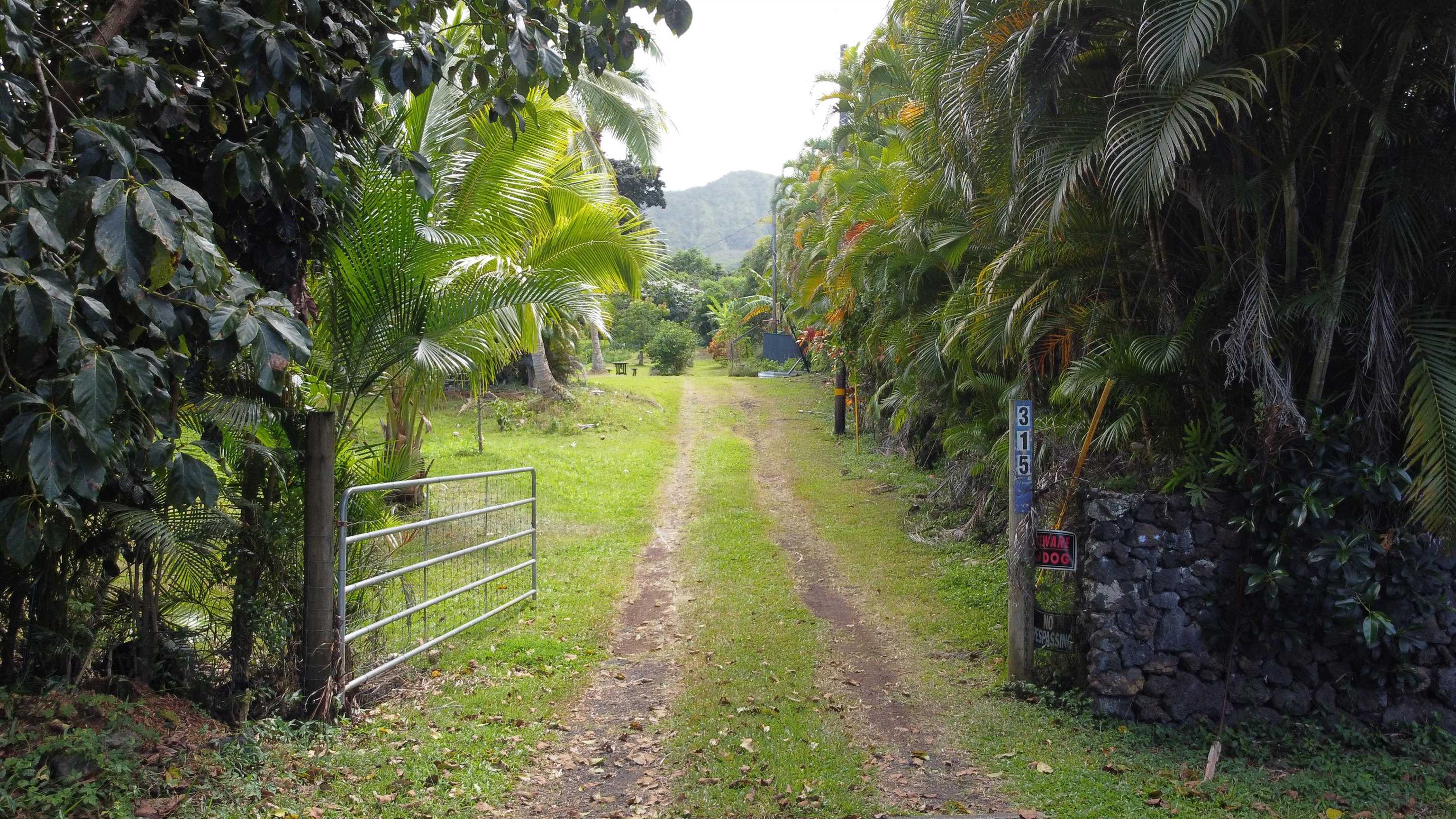 315 Uwala Rd Property Photo 3