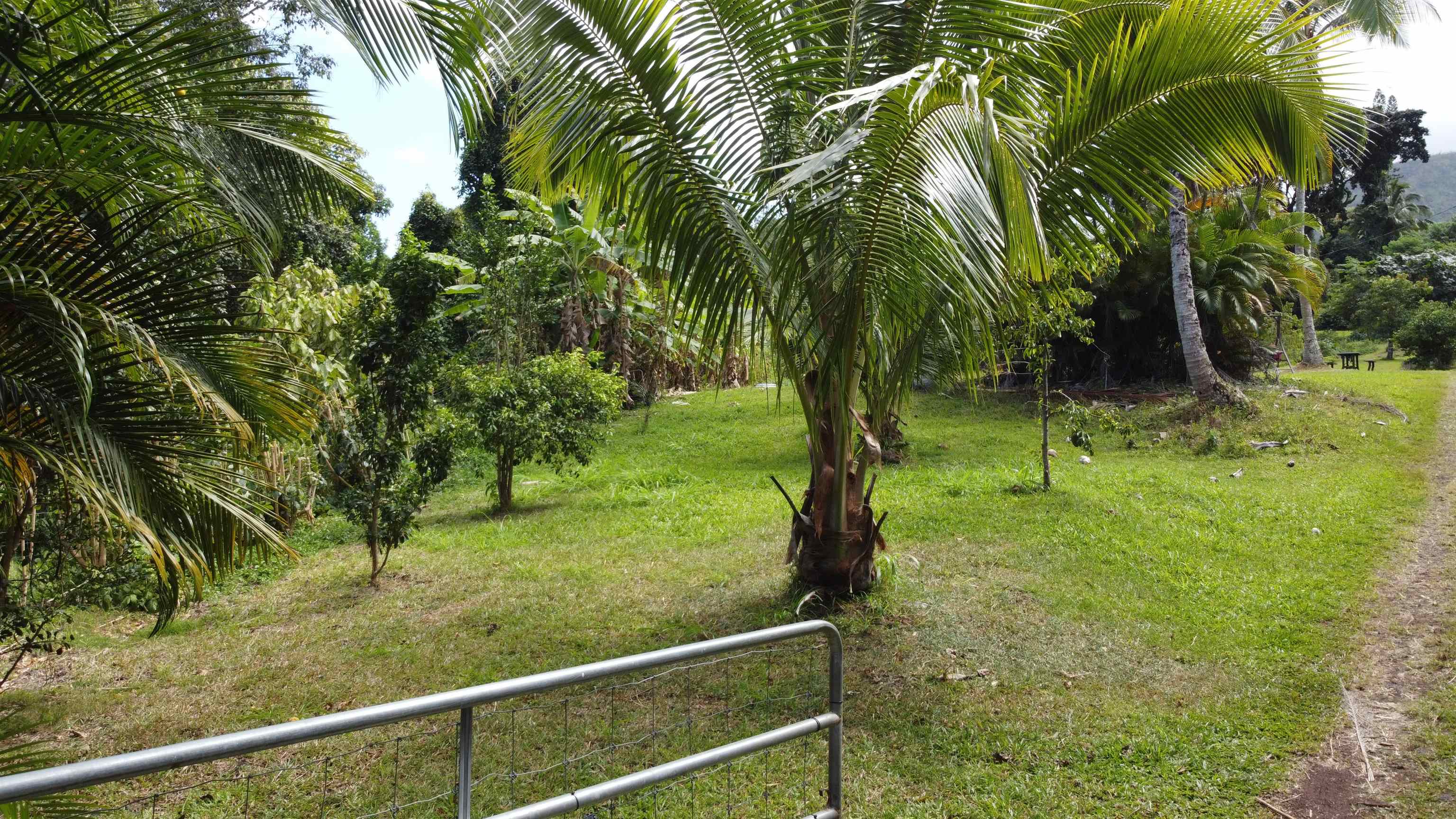 315 Uwala Rd Property Photo 4