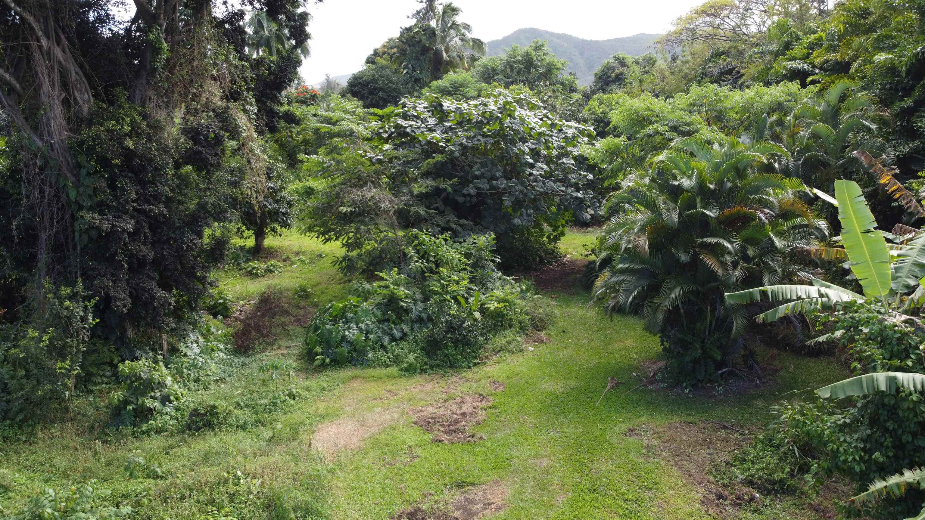 315 Uwala Rd Property Photo 10