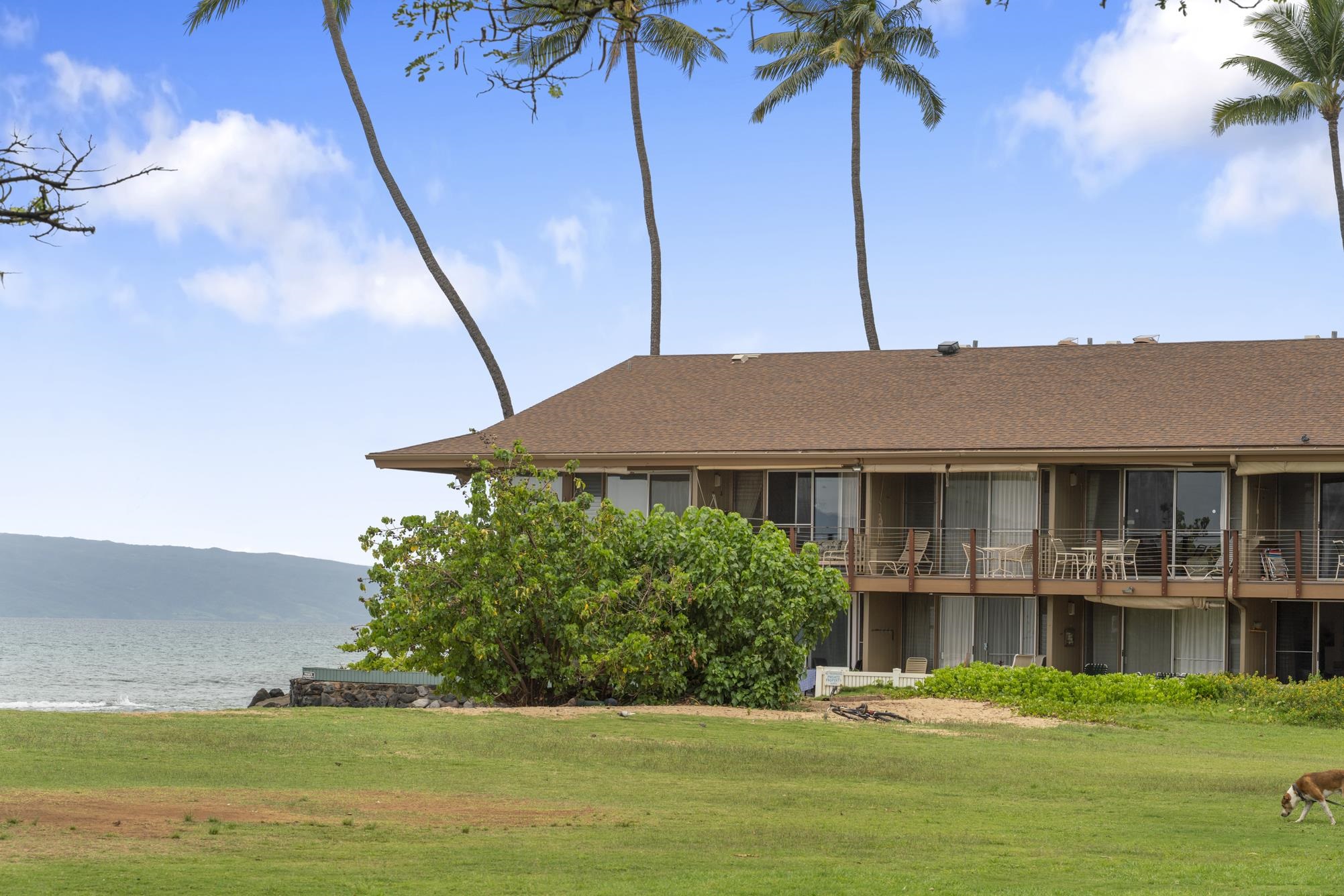 3691 Lower Honoapiilani Rd Property Photo 29