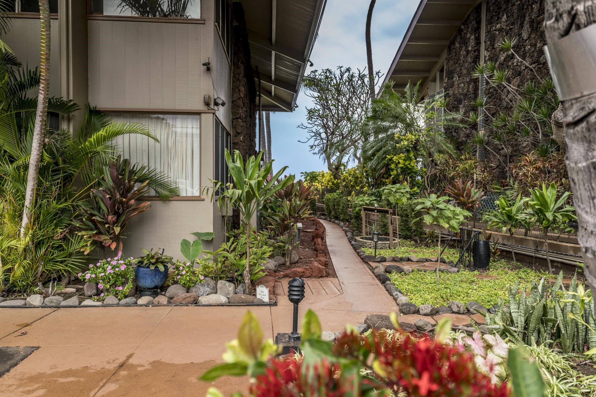 3691 Lower Honoapiilani Rd Property Photo 30