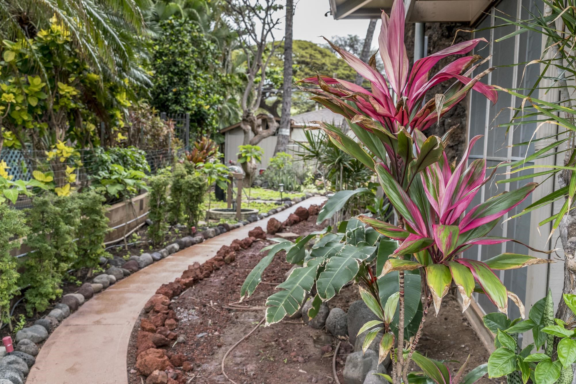 3691 Lower Honoapiilani Rd Property Photo 43
