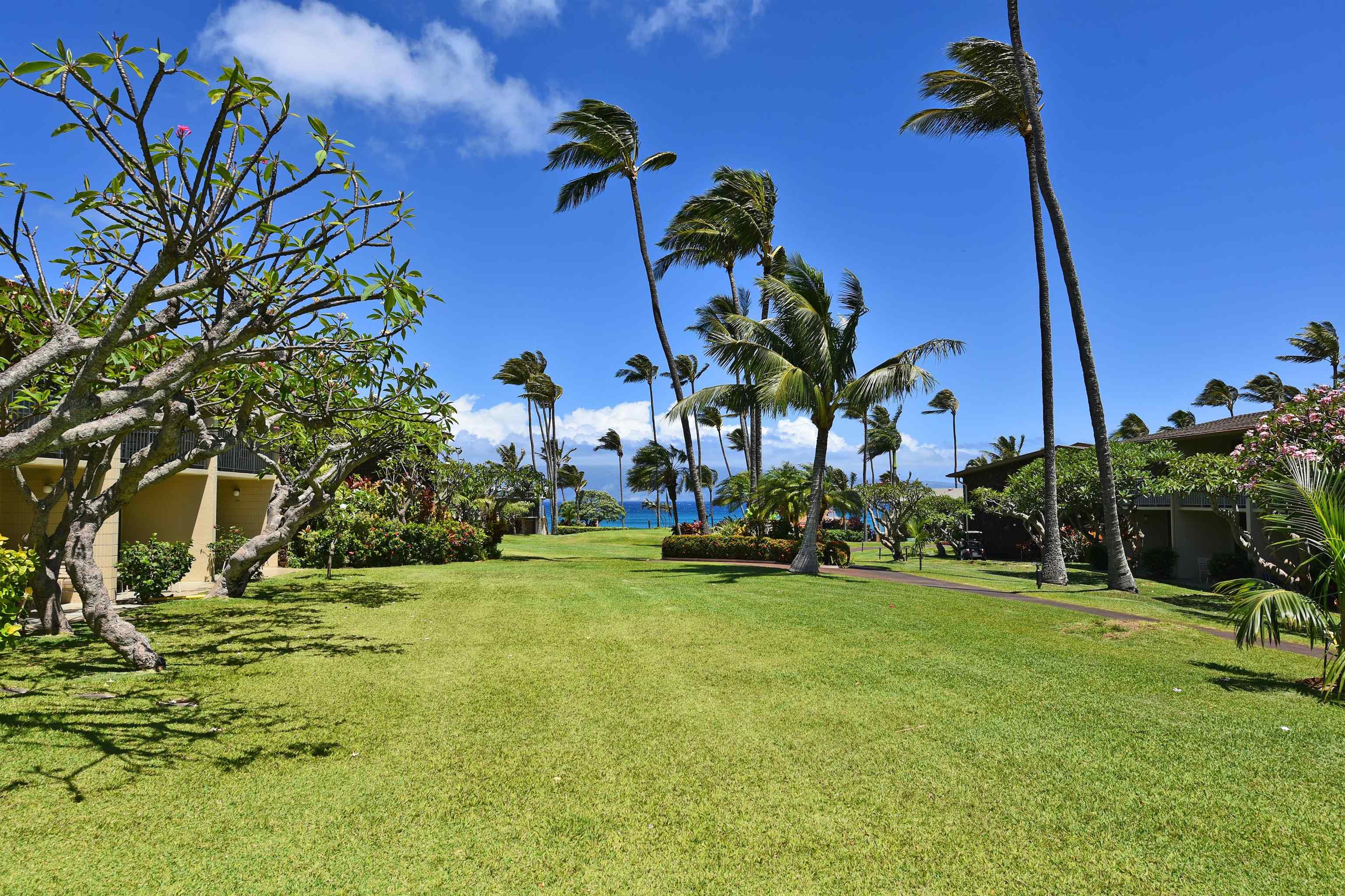 5315 Lower Honoapiilani Rd Property Photo 29