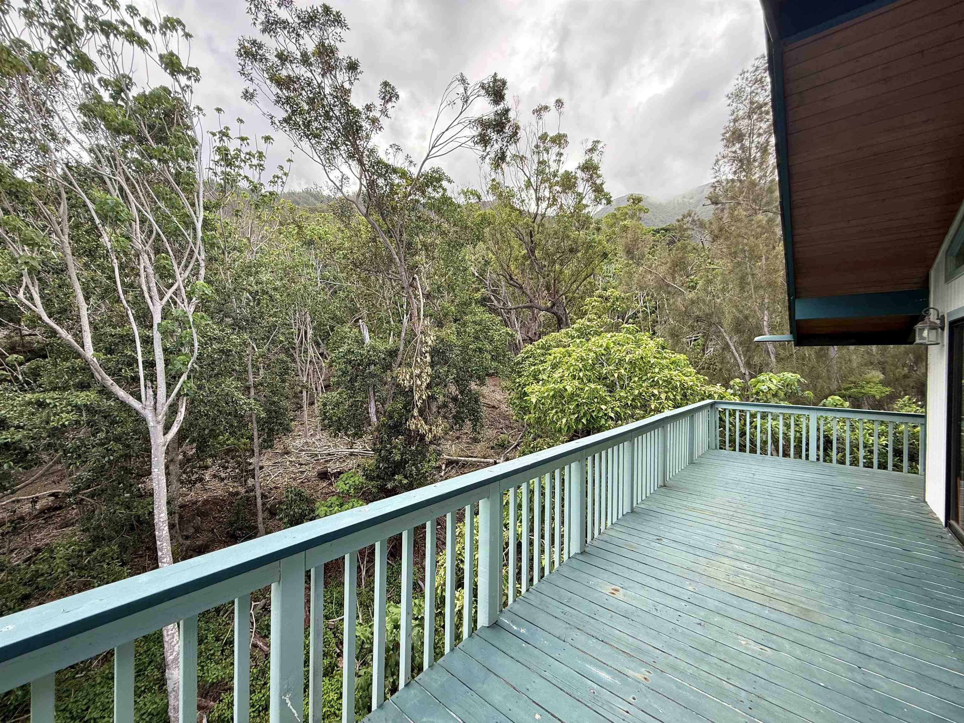 558 Polulani Dr Property Photo 20