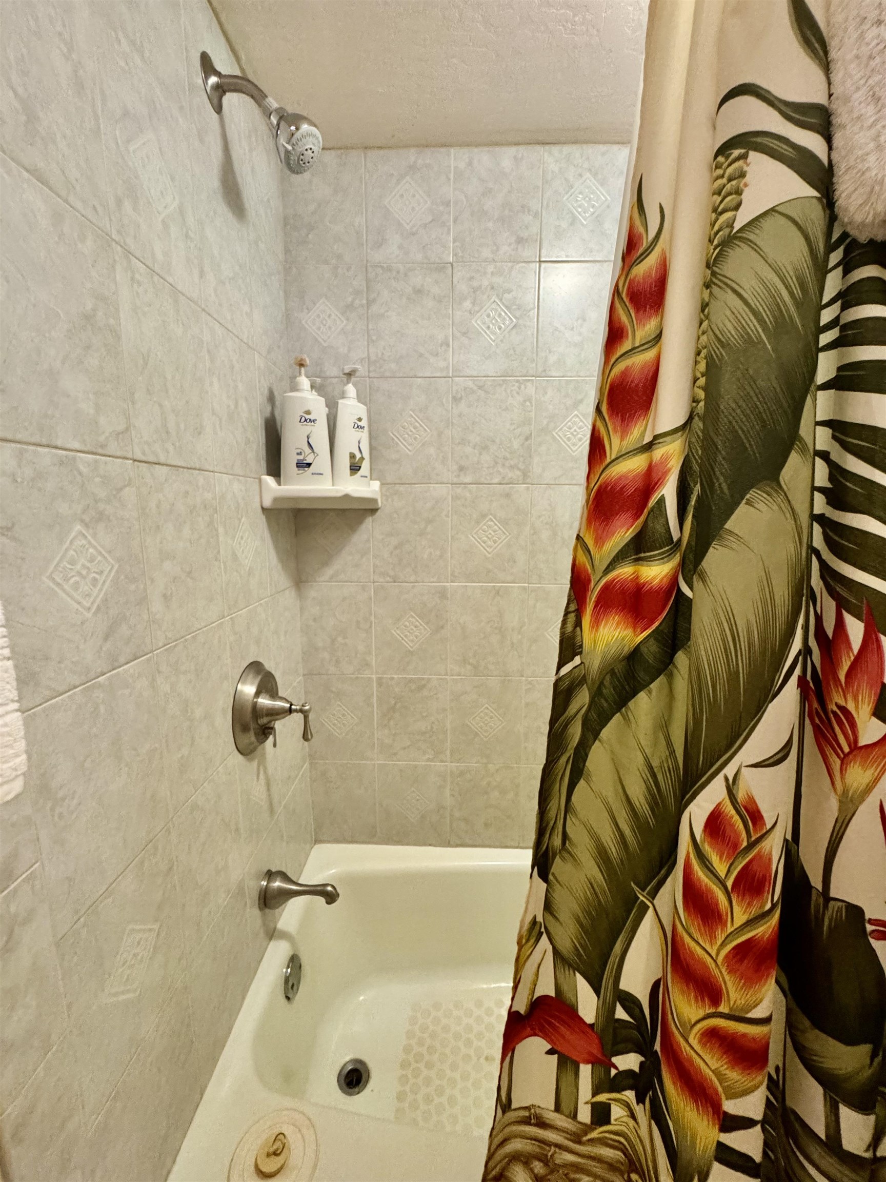 255 Kepuhi Pl Property Photo 17