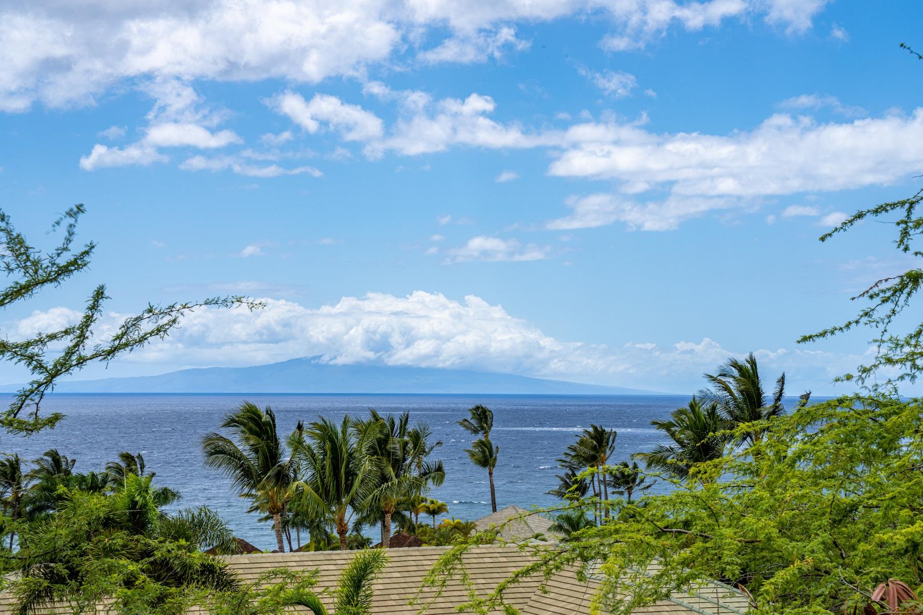 4520 Makena Alanui Dr Property Photo 19