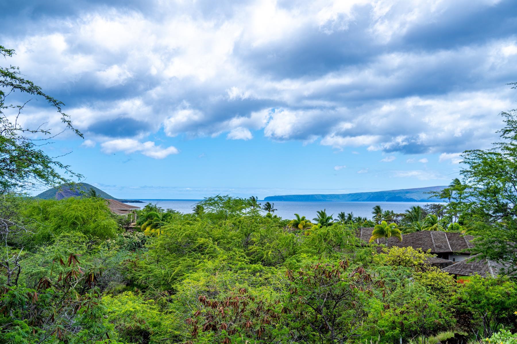 4520 Makena Alanui Dr Property Photo 30
