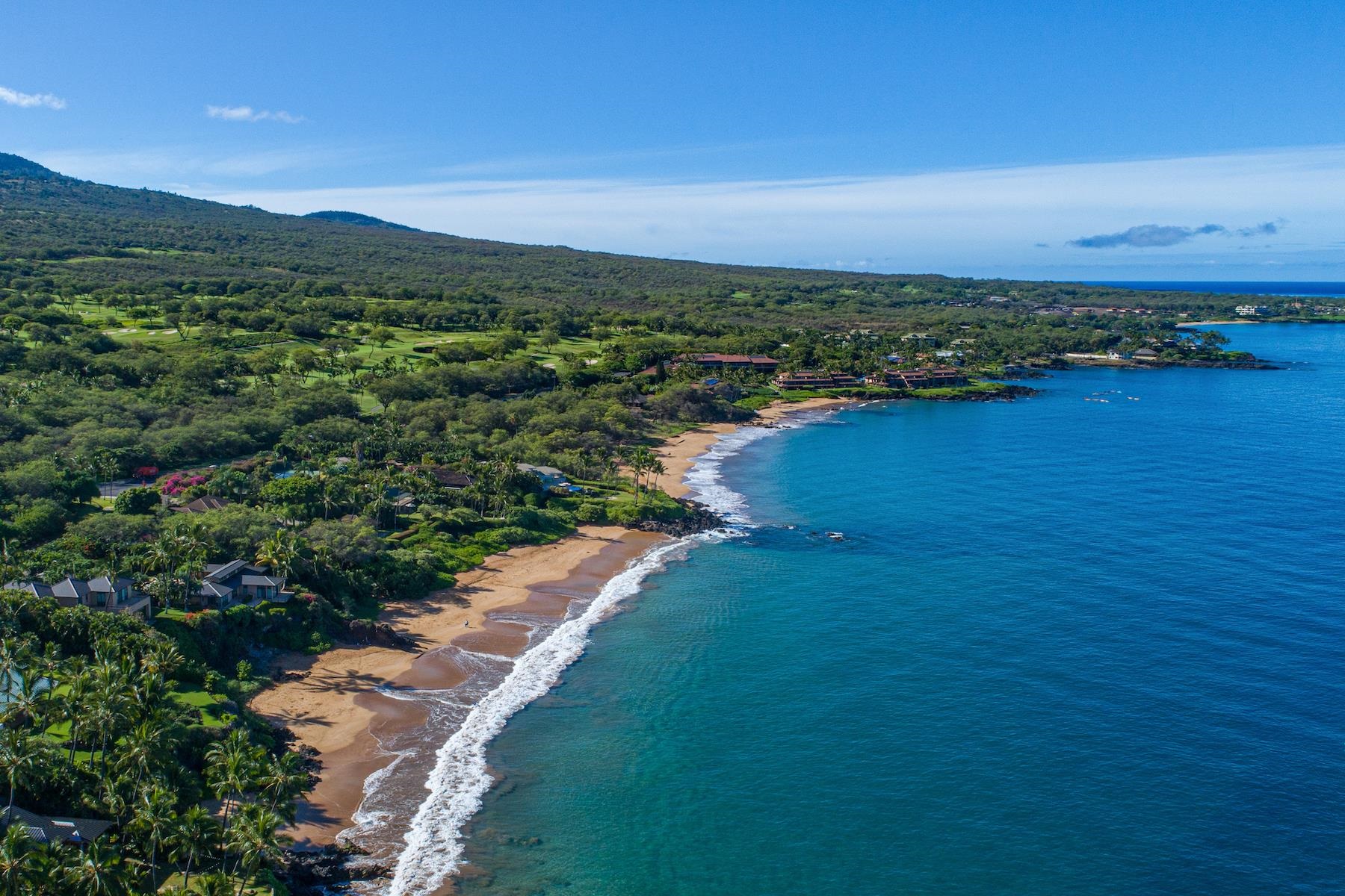 4520 Makena Alanui Dr Property Photo 33