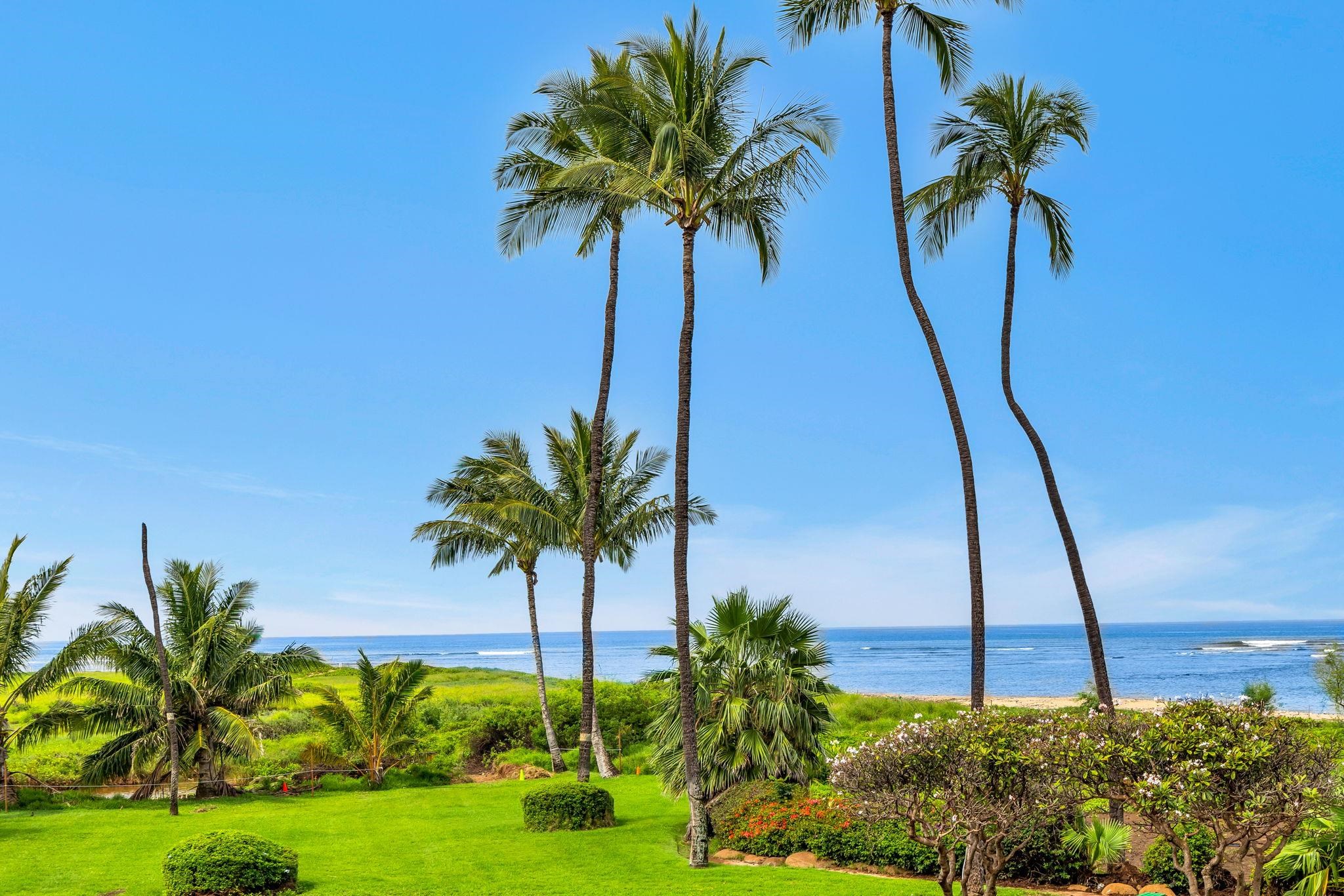 800 S Kihei Rd Property Photo 1