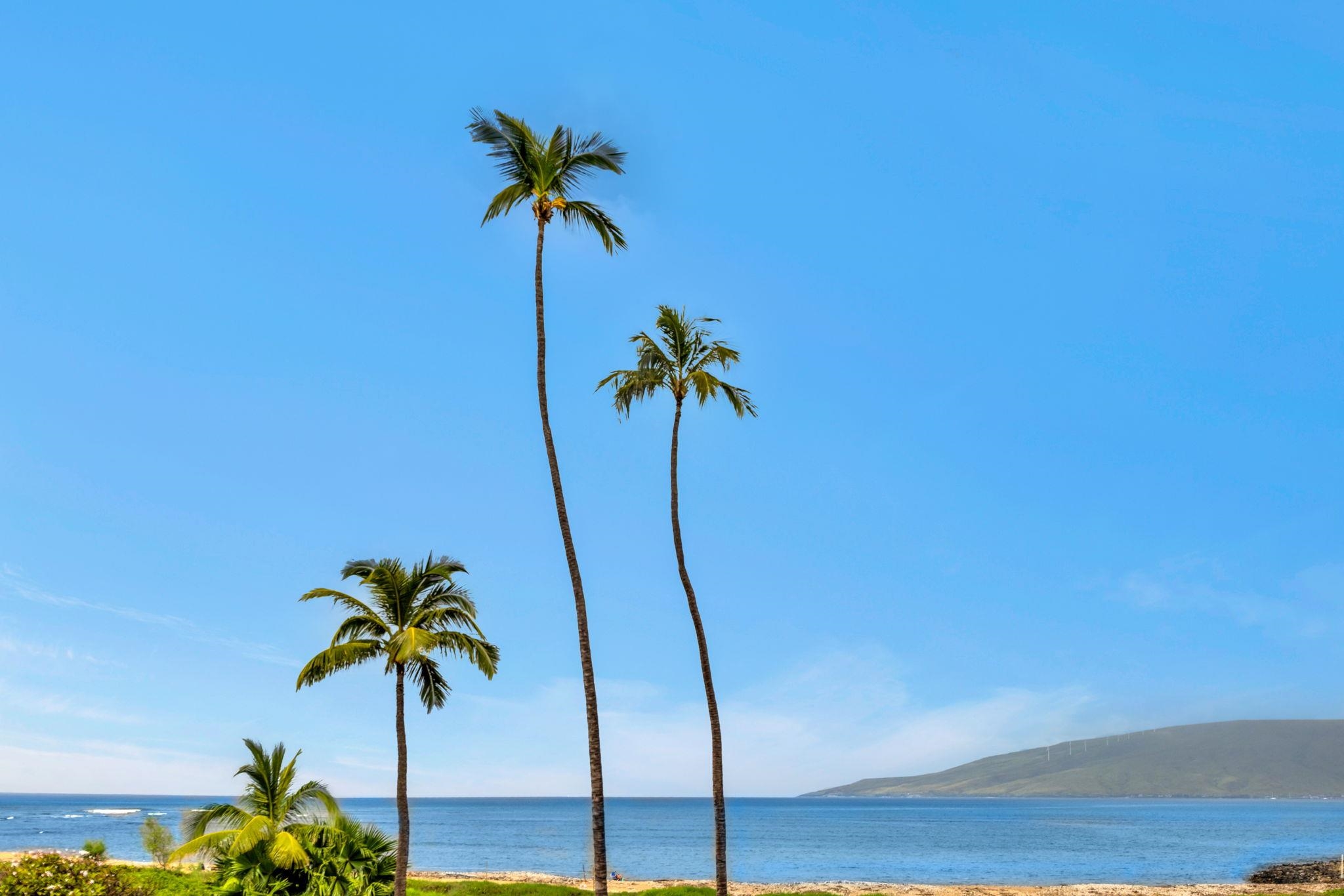 800 S Kihei Rd Property Photo 2