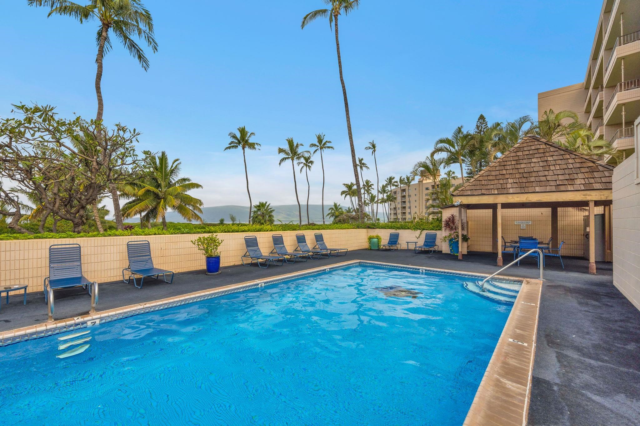 800 S Kihei Rd Property Photo 20