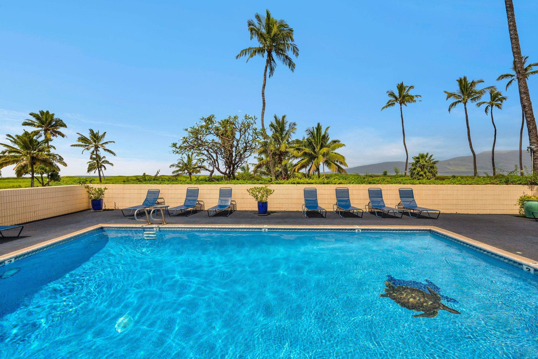800 S Kihei Rd Property Photo 22