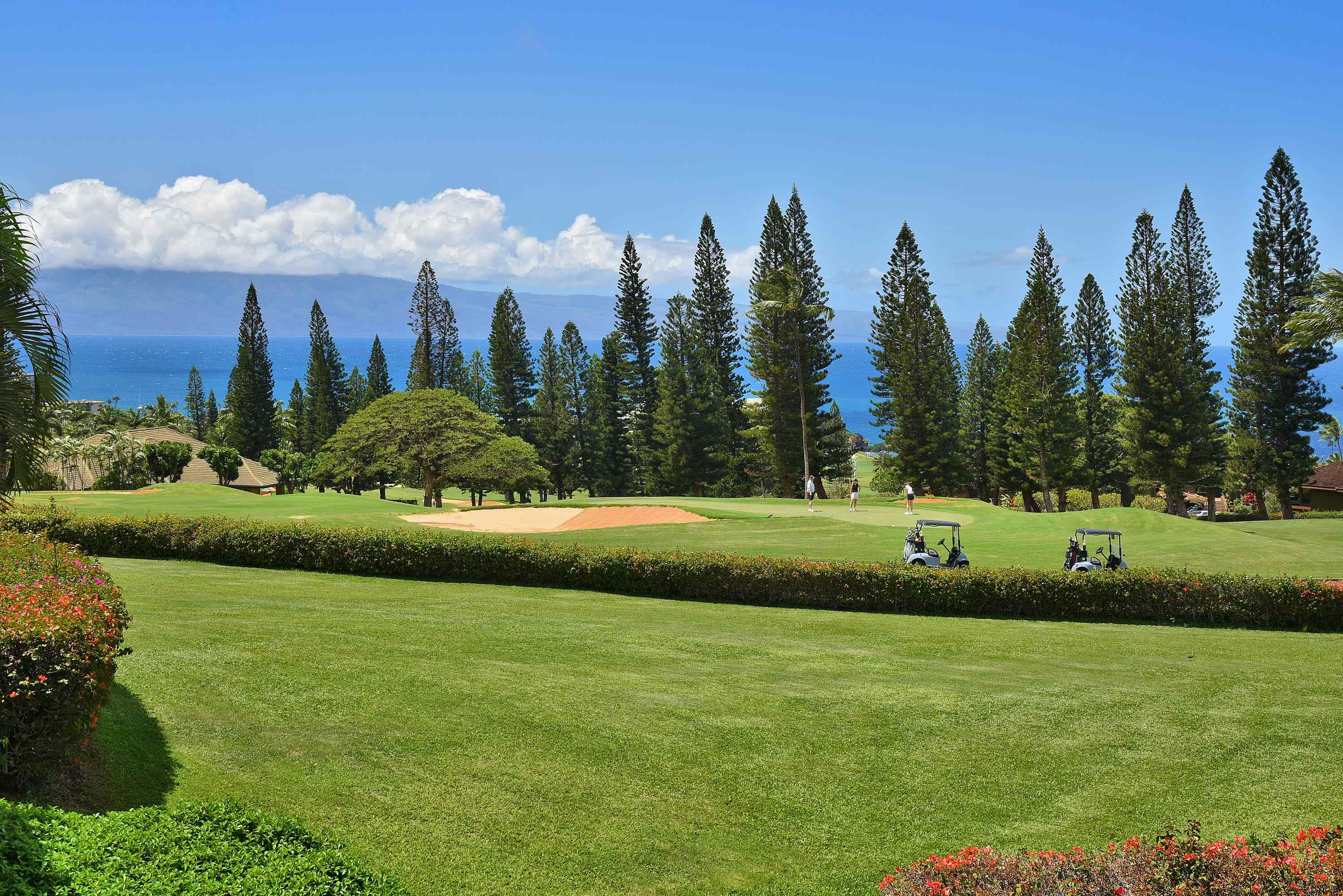 50 PUU ANOANO St Property Photo 1