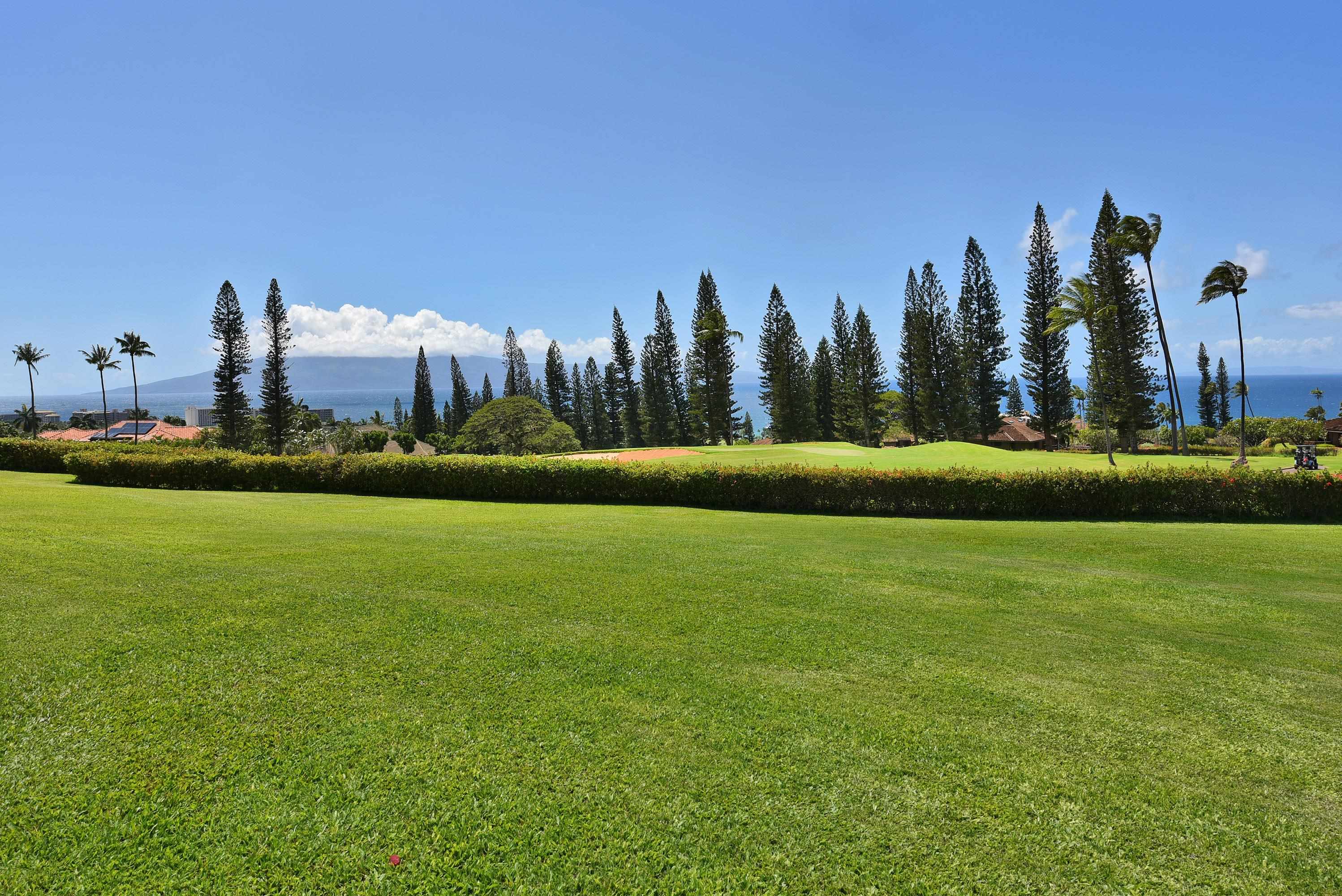 50 Puu Anoano St Property Photo 43