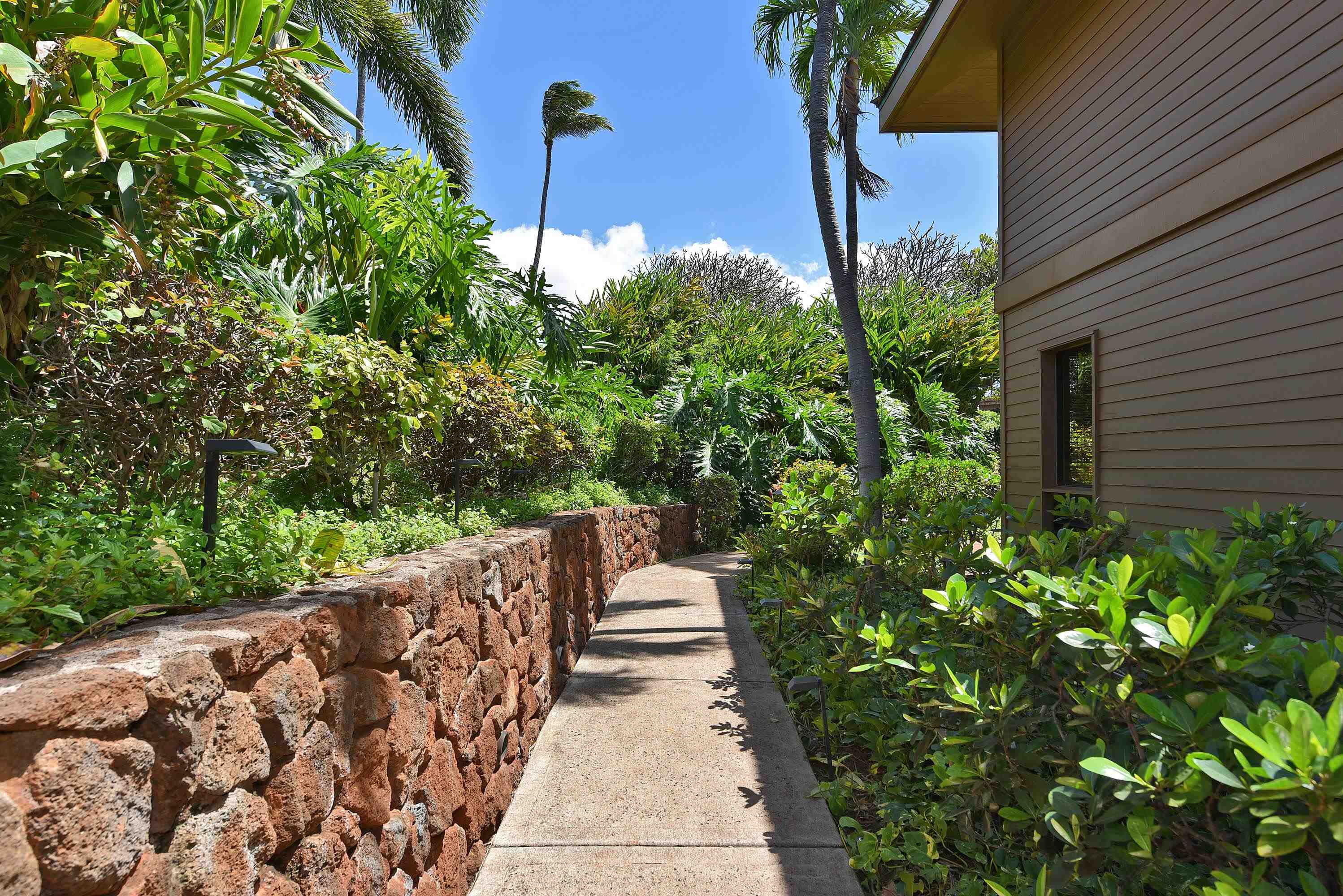 50 Puu Anoano St Property Photo 45
