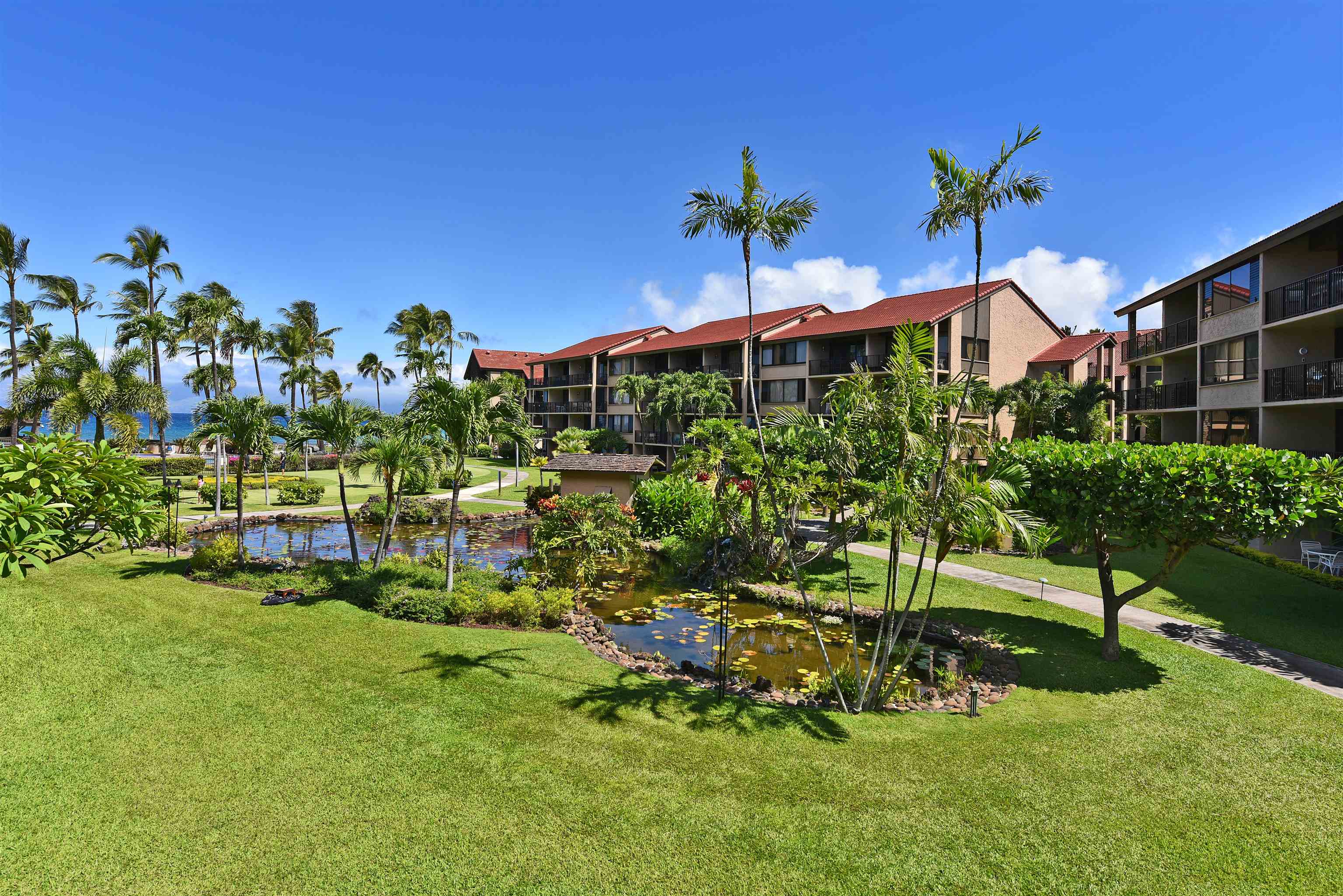 3543 Lower Honoapiilani Rd Property Photo 37