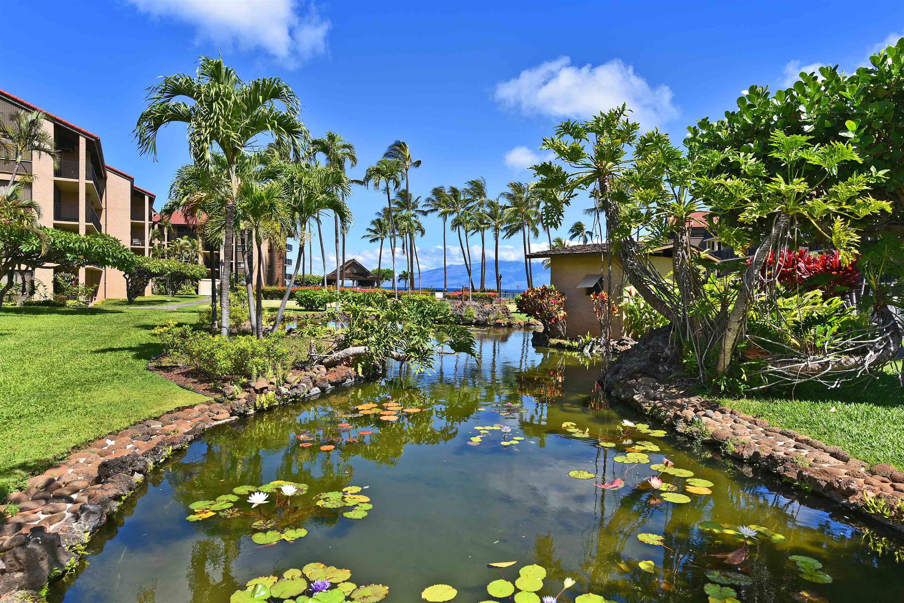 3543 Lower Honoapiilani Rd Property Photo 40