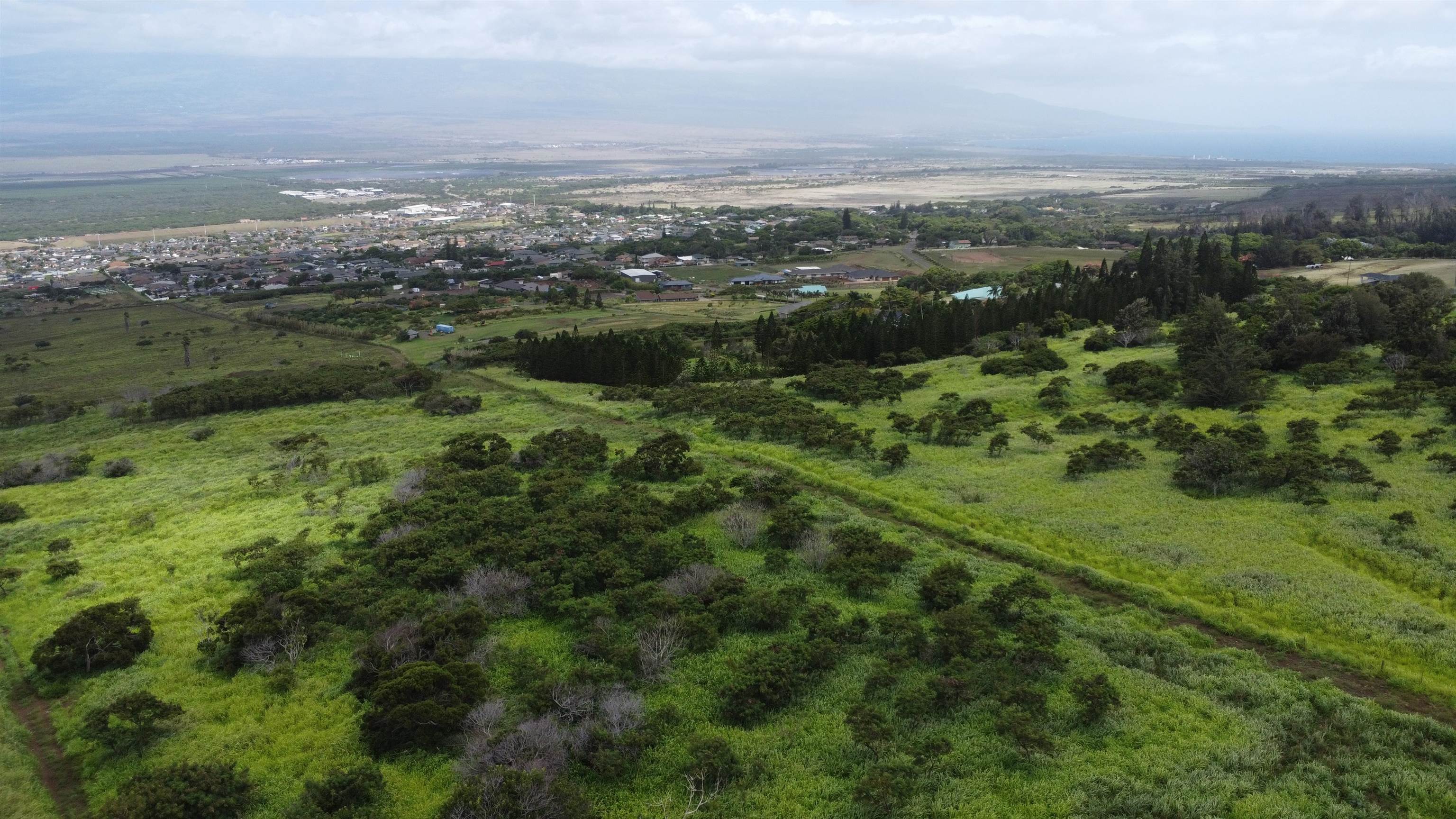 101 Kuikahi Dr Property Photo 6