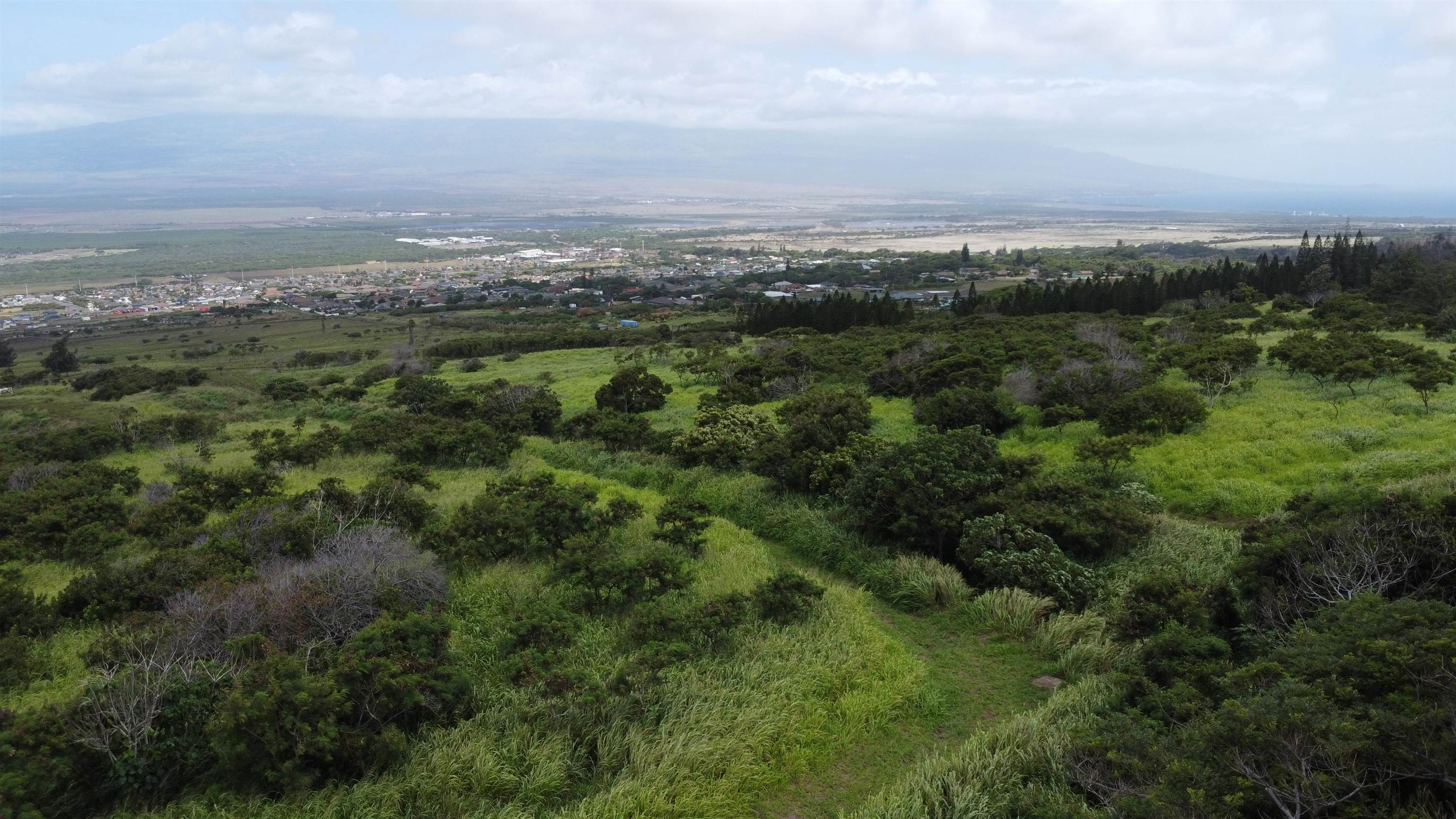 101 Kuikahi Dr Property Photo 7