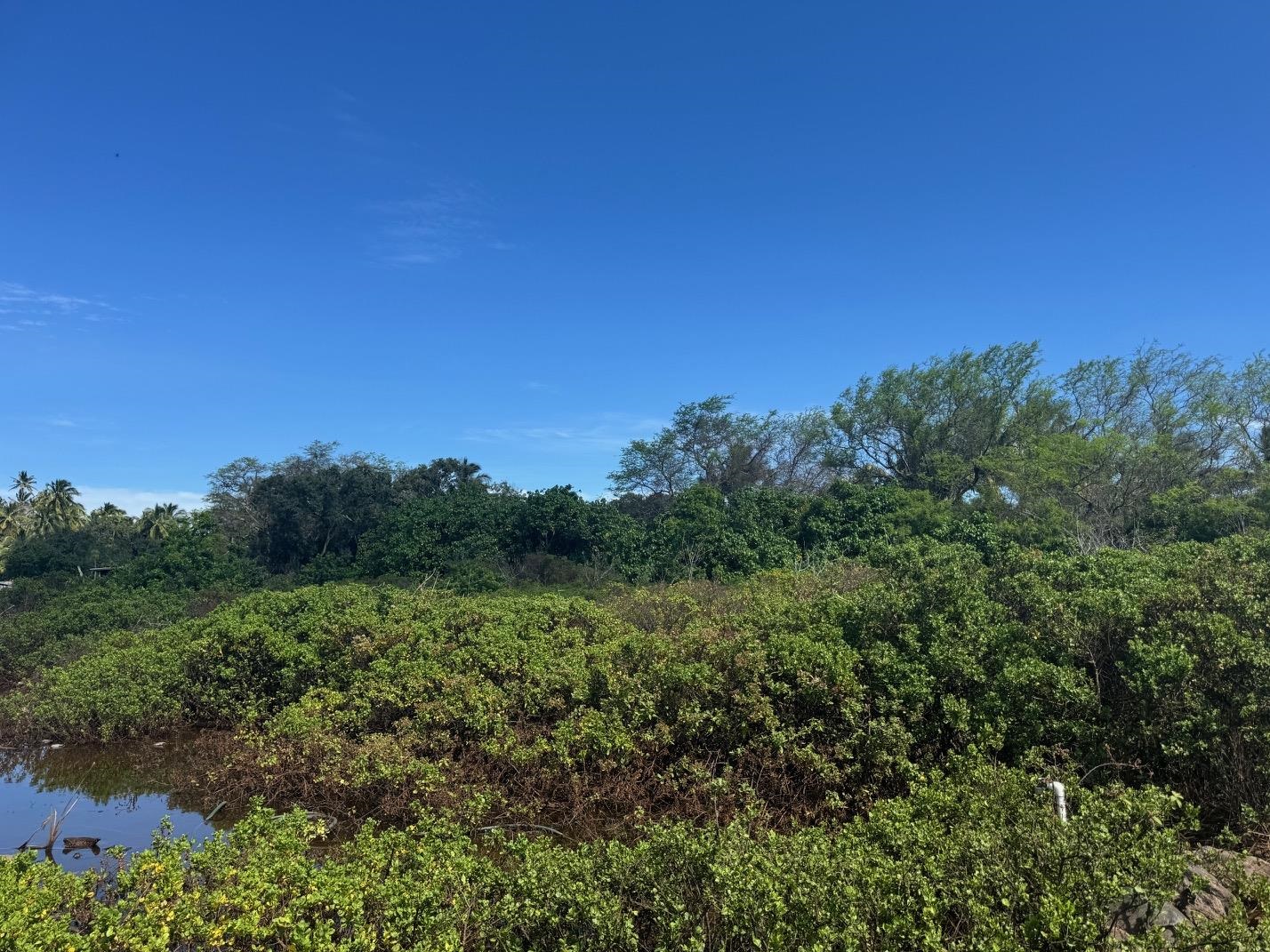 Off Mapulehu Fish Pond Ln Property Photo 7