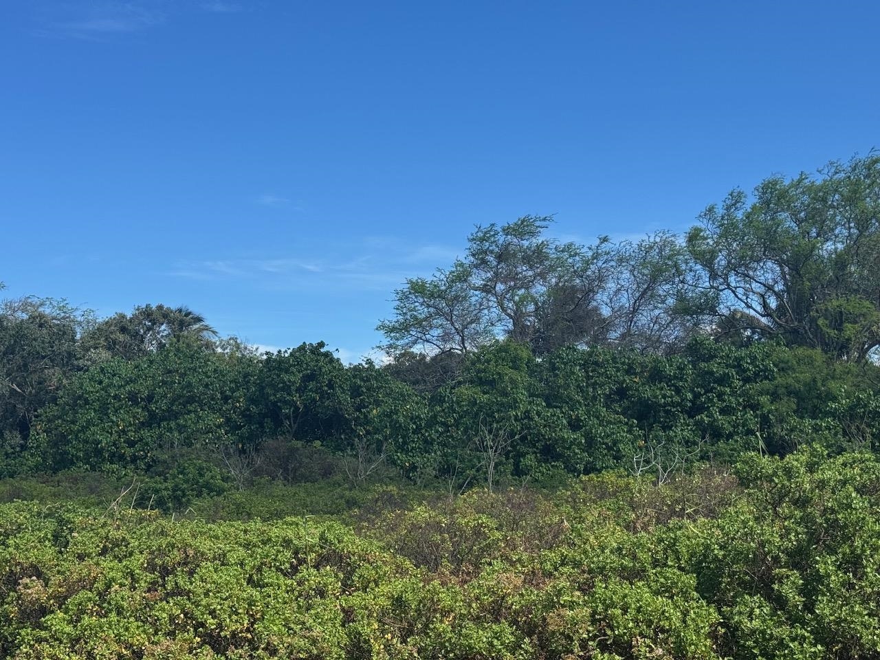 Off Mapulehu Fish Pond Ln Property Photo 8