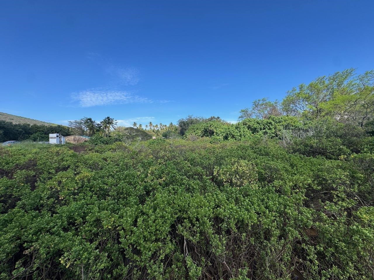 Off Mapulehu Fish Pond Ln Property Photo 9