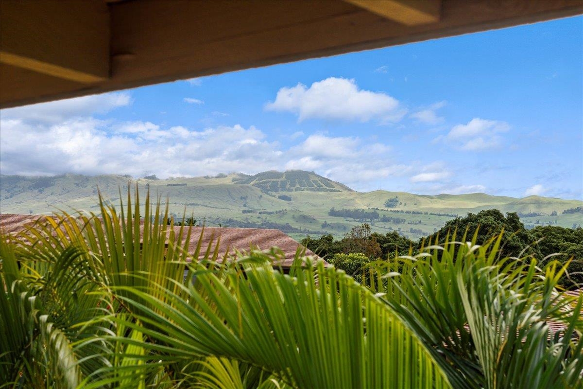3300 Wailea Alanui Dr Property Photo 11