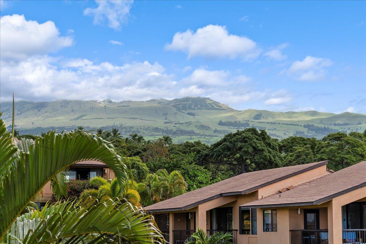 3300 Wailea Alanui Dr Property Photo 12