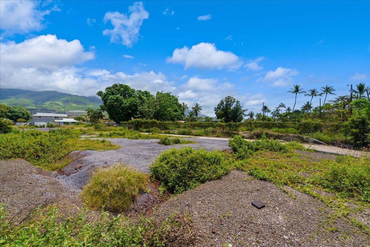 1184 Halepaka Pl Property Photo 14