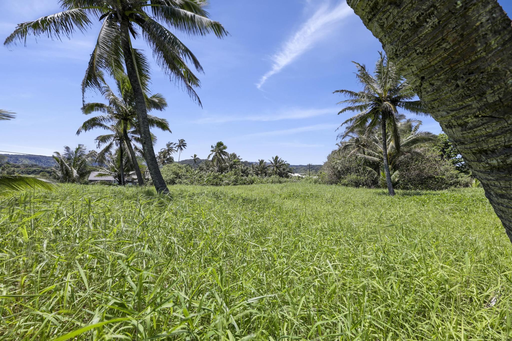 Keanae Rd Property Photo 5