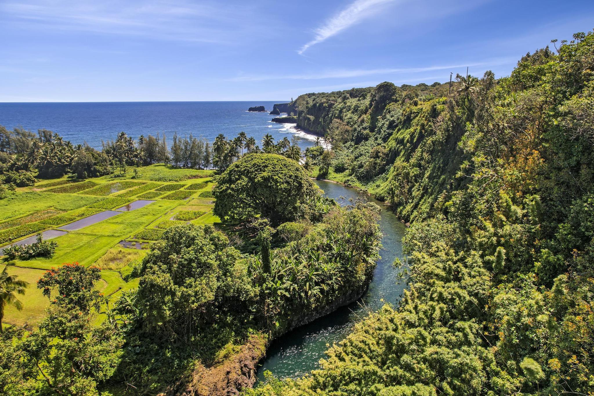 Keanae Rd Property Photo 17